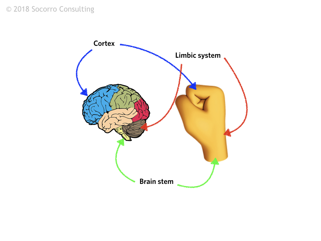 Your emoji brain.