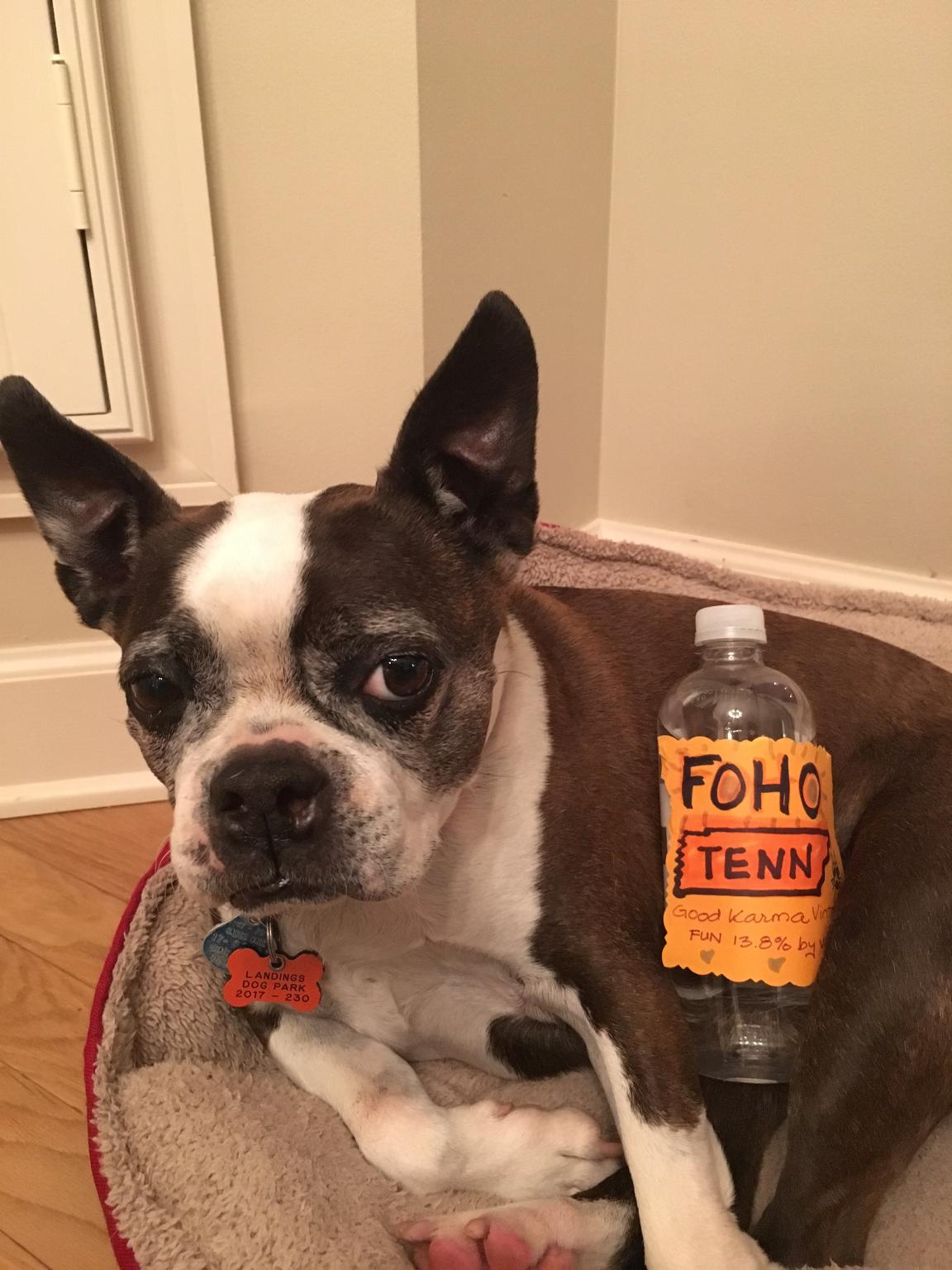 Gussie With FoHo Bottle.jpg