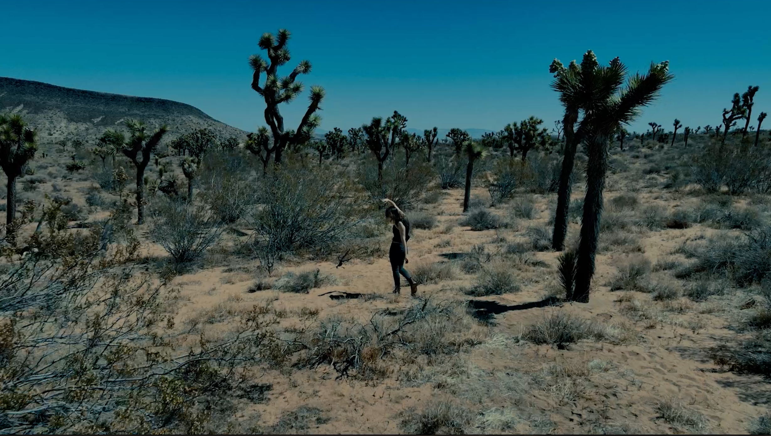 Screenshot 2024-06-26 at 9.24.14 AM.png