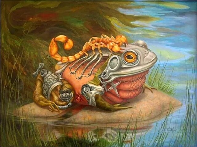Frog and Scorpion.jpg