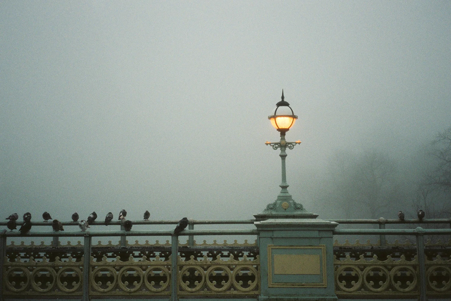 London's Richmond photographed on foggy morning. Taken with a Olympus MjuII camera and Fuji 400H film. By Dmitry Serostanov.