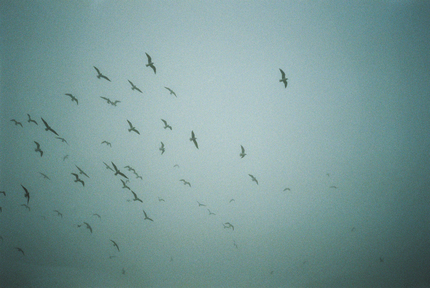London's Richmond photographed on foggy morning. Taken with a Olympus MjuII camera and Fuji 400H film. By Dmitry Serostanov.