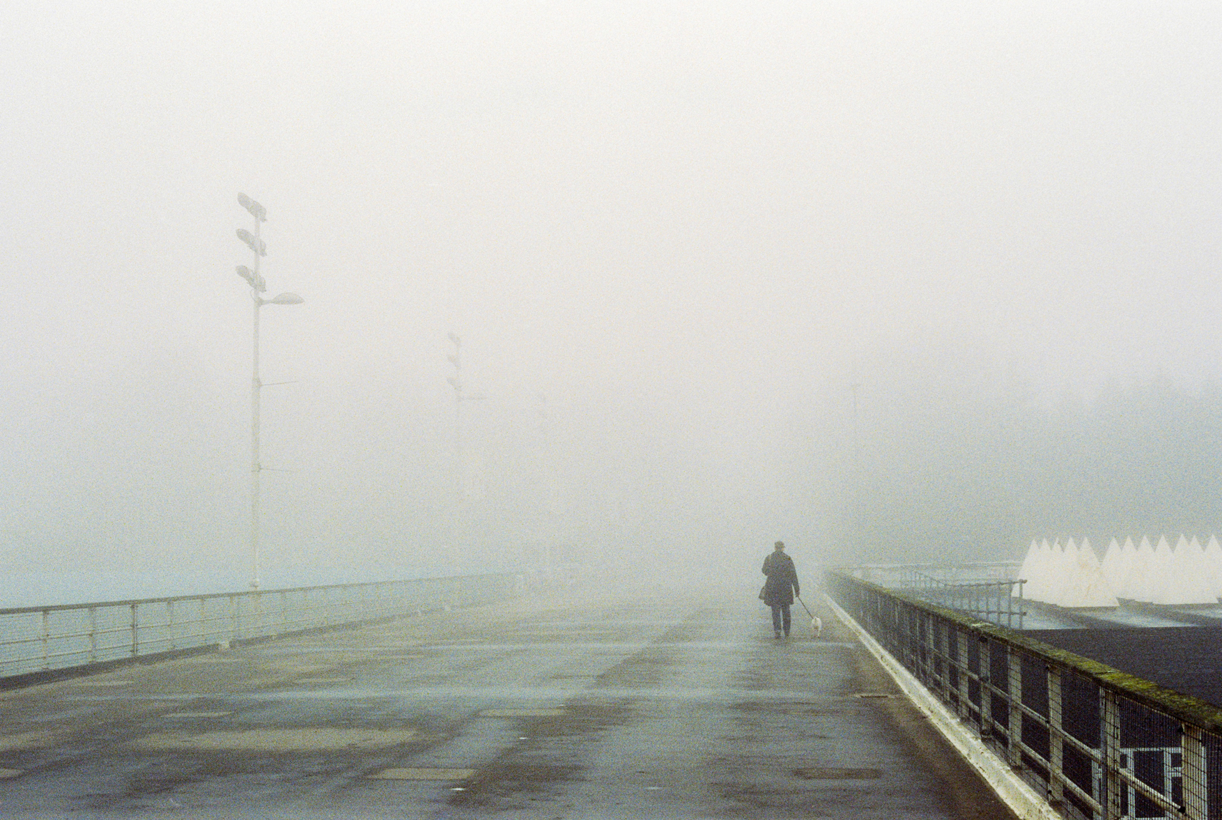 Crystal Palace Fog by Dmitry Serostanov