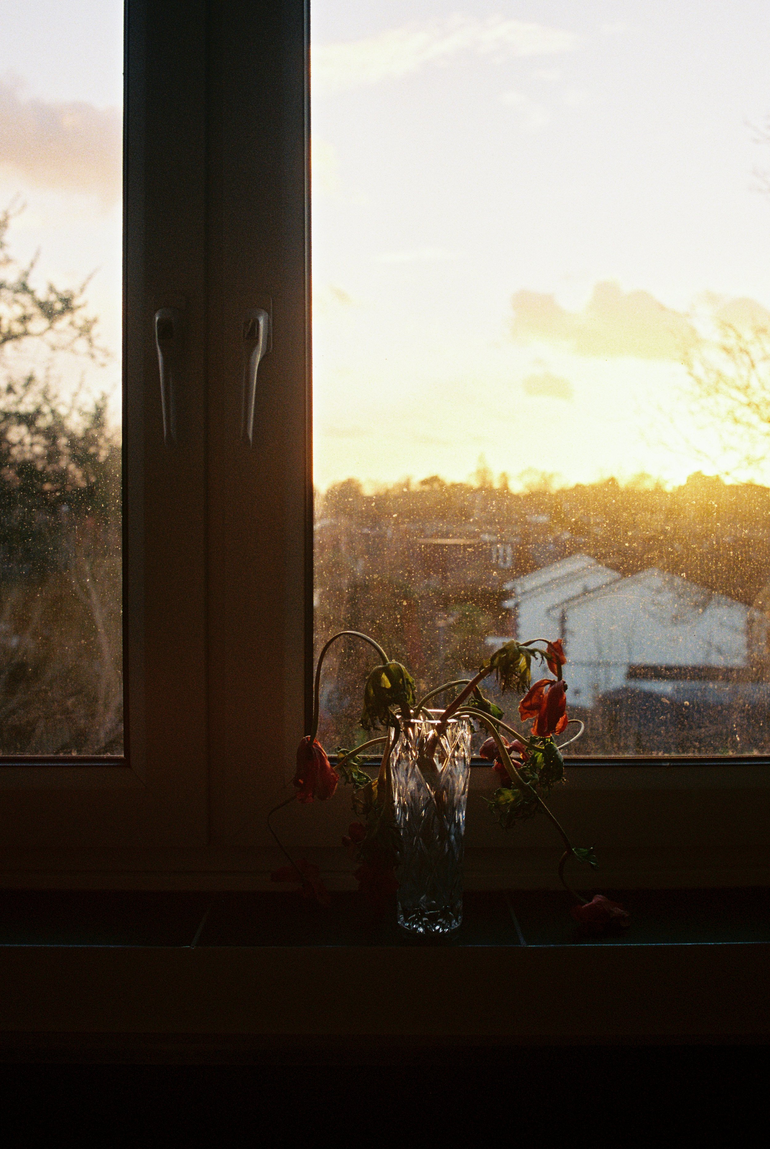 3_05 Sunset Window.jpg