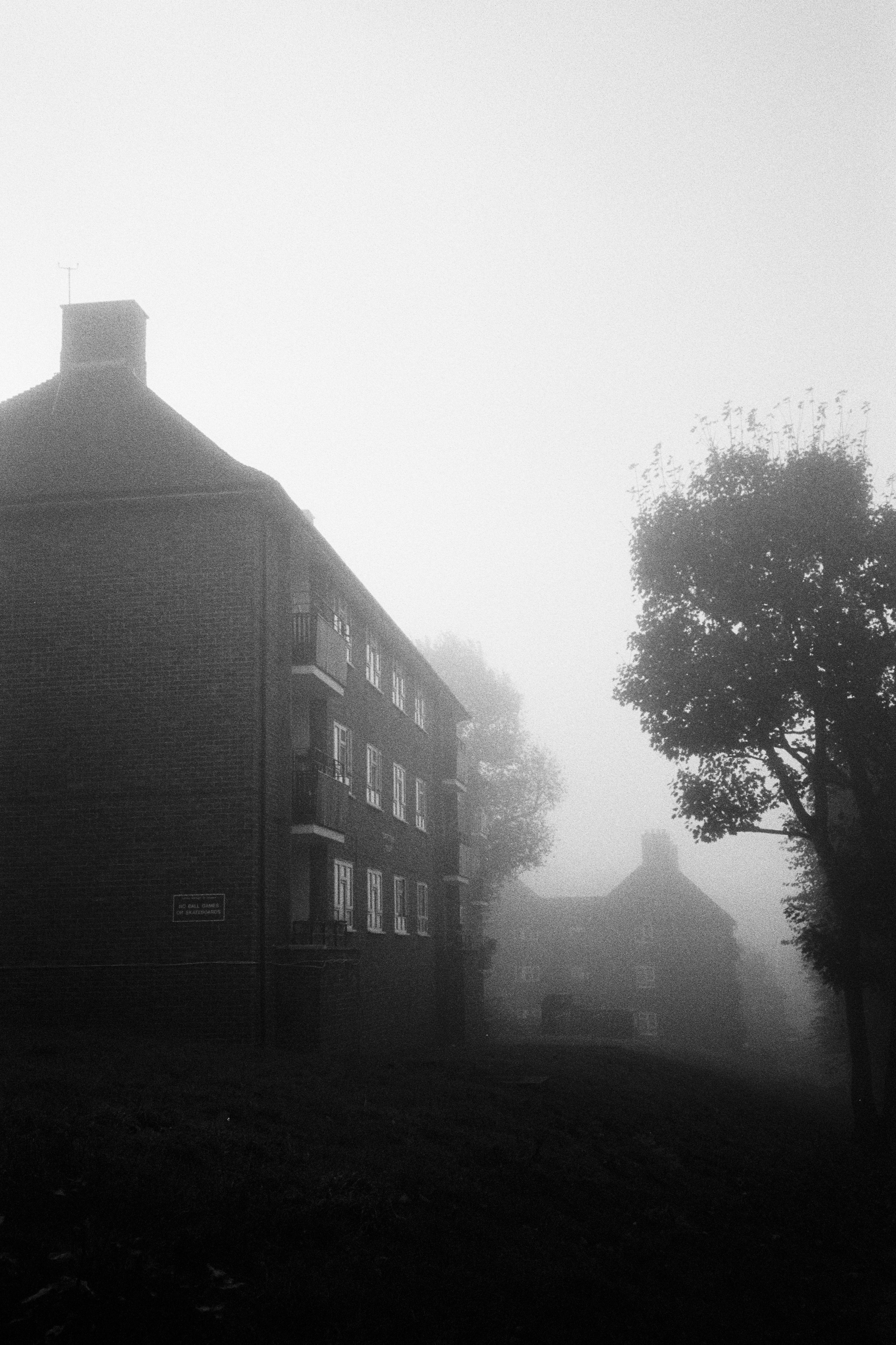 3_25 London Fog 35mm.jpg