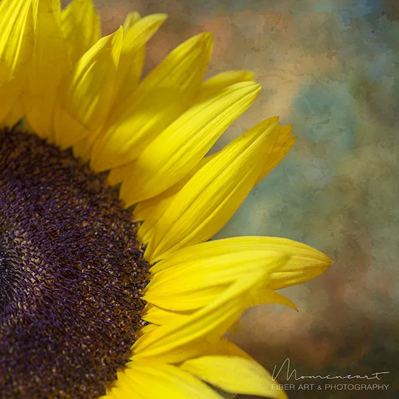 SUN FLOWER