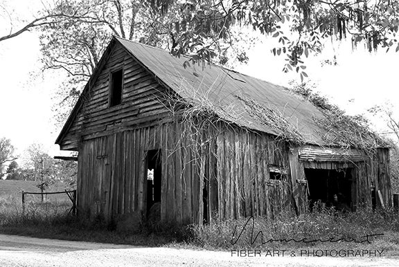 ON RIVER ROAD-BW