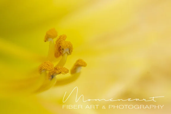 STAMENS