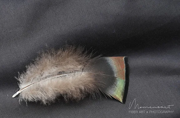 FEATHER ON BLACK