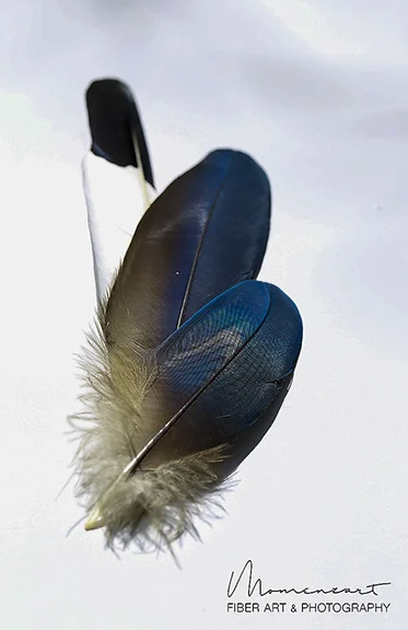 TWO BLUE AND A WHITE FEATHER