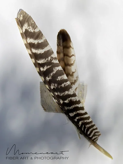 TWO FEATHERS