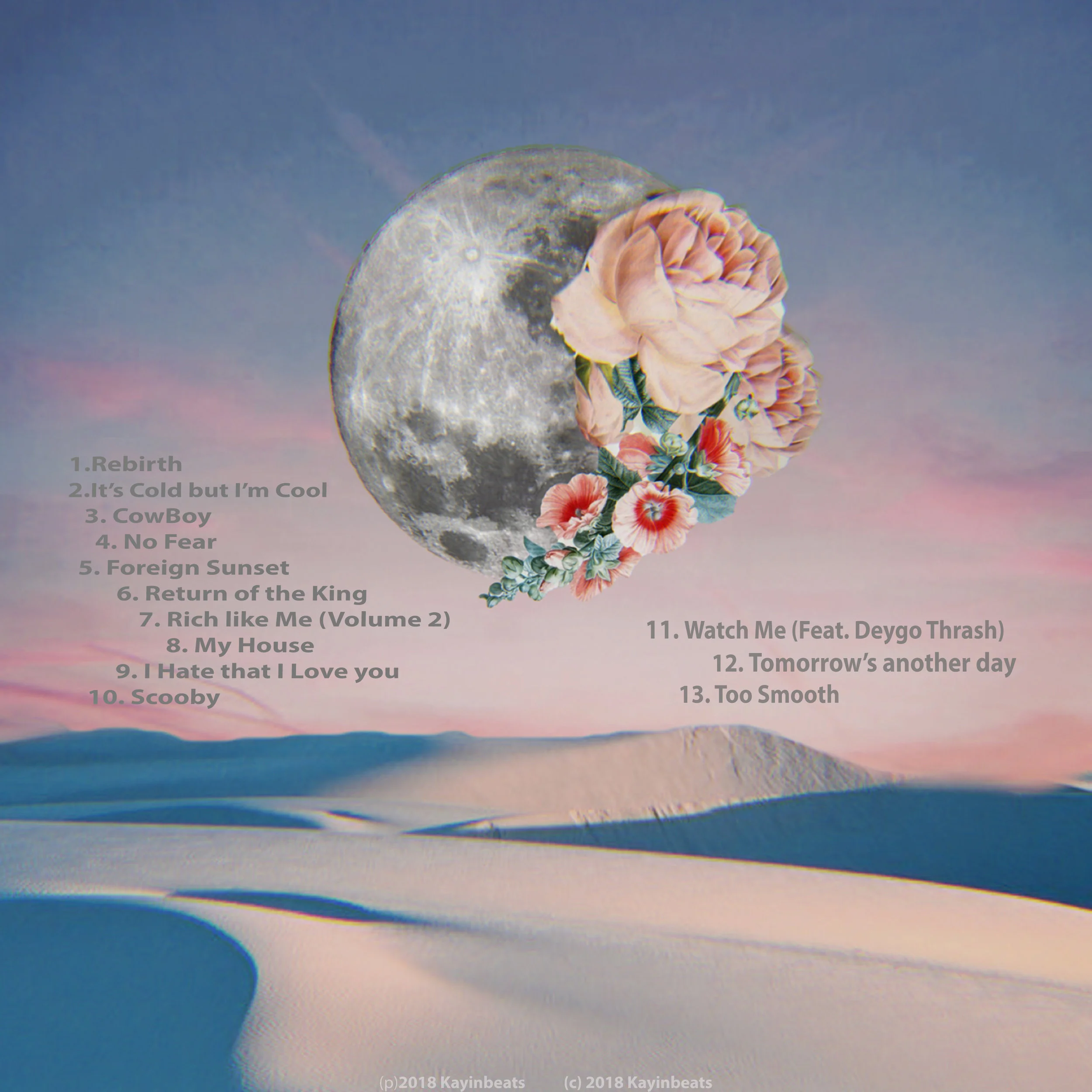 CONTROL back cover 2 .jpg