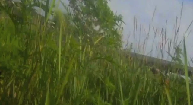 Subsequent Sight, Mac