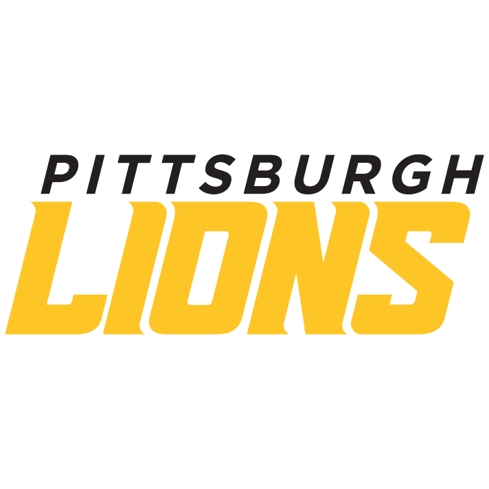 Lions Wordmark.png