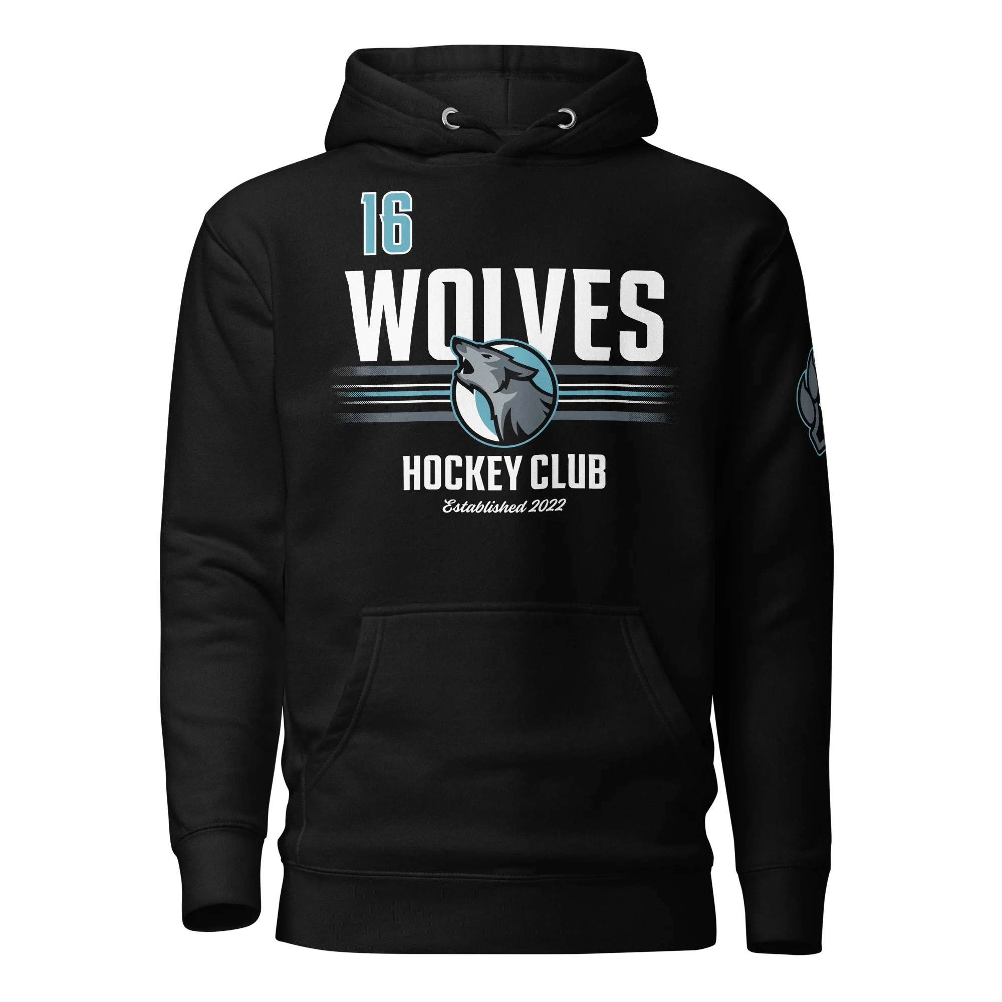 unisex-premium-hoodie-black-front-639409a57c98f.jpg