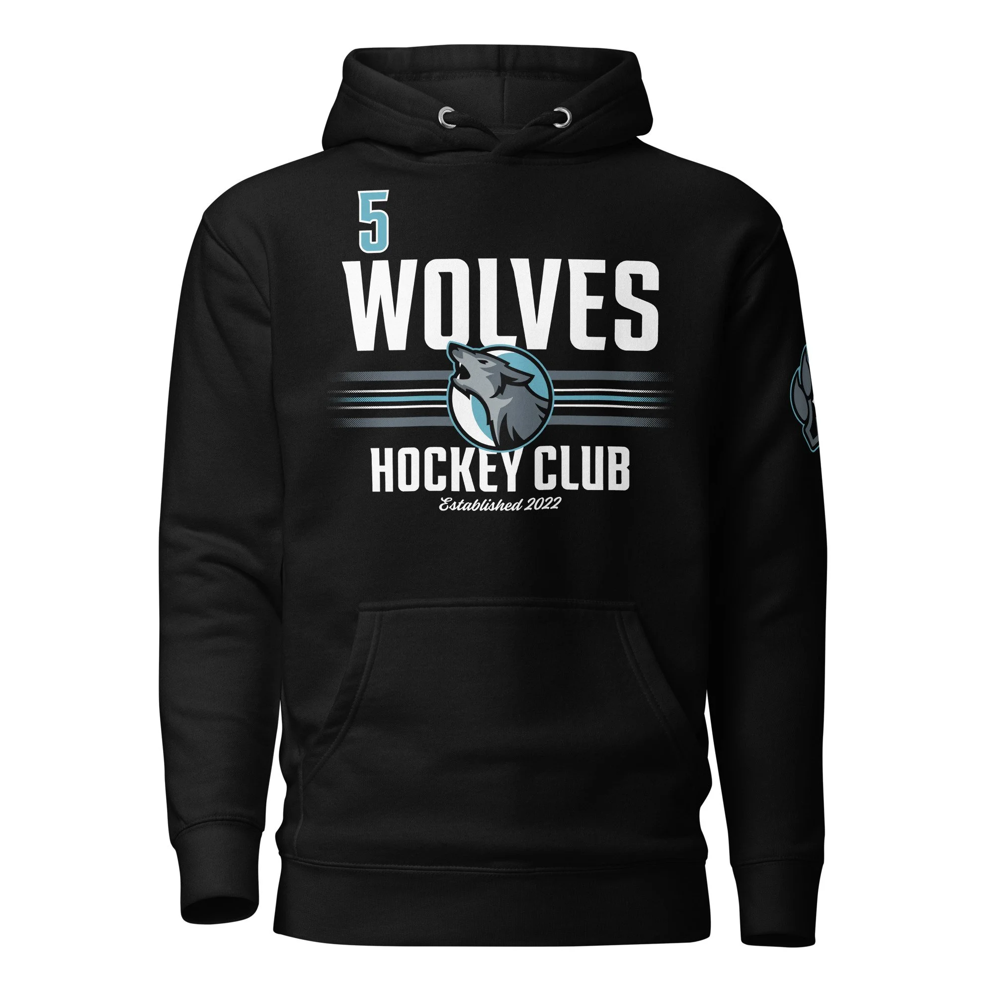 unisex-premium-hoodie-black-front-640f9441a66b6.jpg