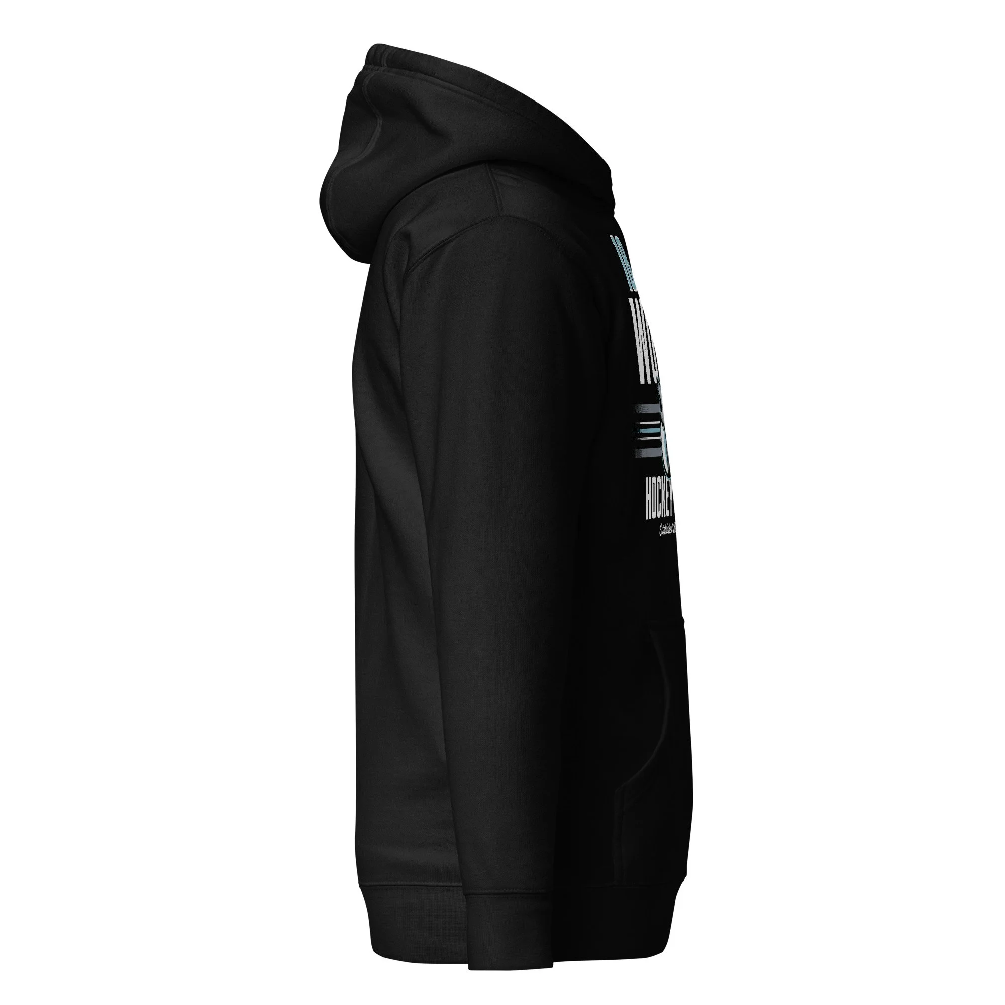 unisex-premium-hoodie-black-right-66e391f0e11a7.jpg