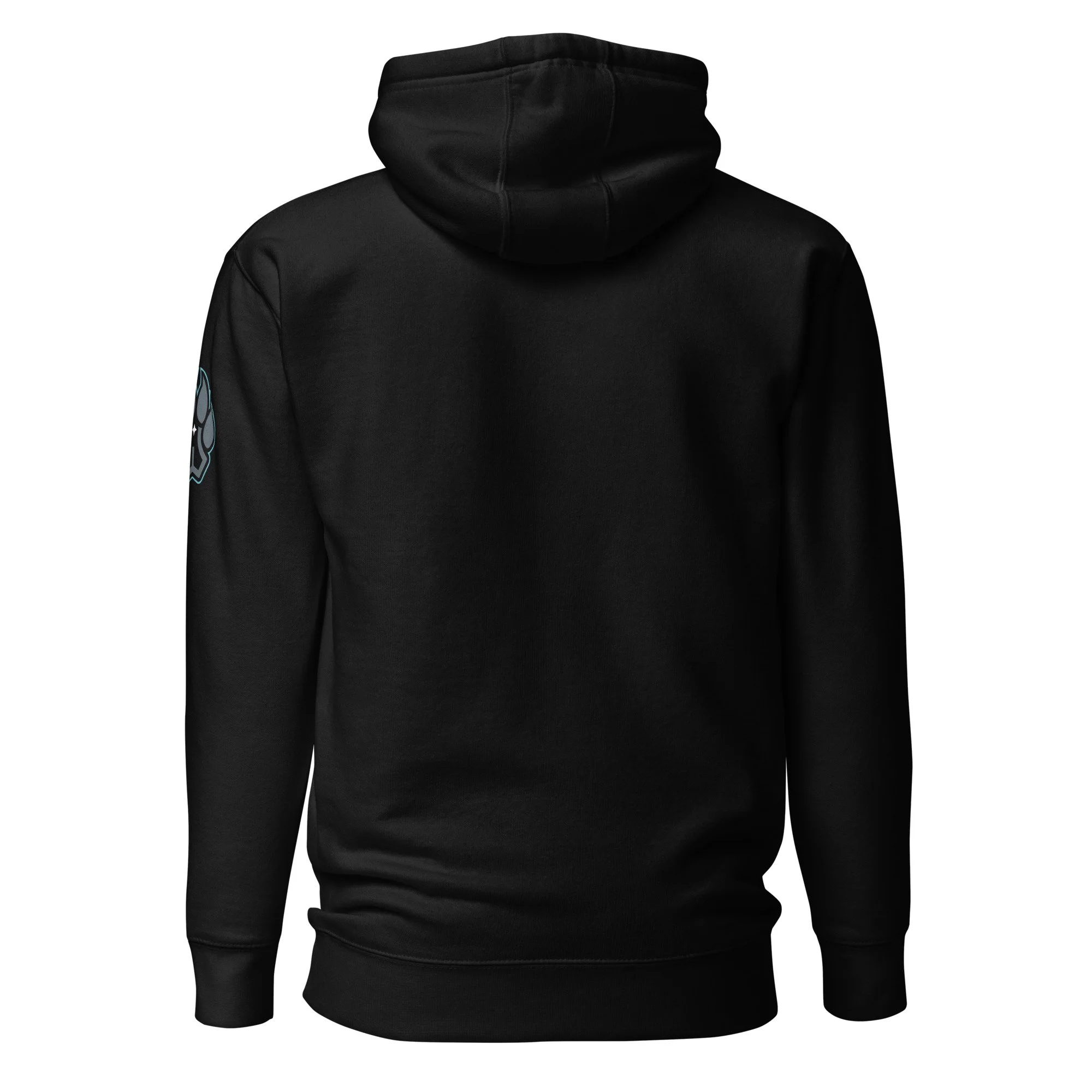 unisex-premium-hoodie-black-back-66e391f0e467c.jpg