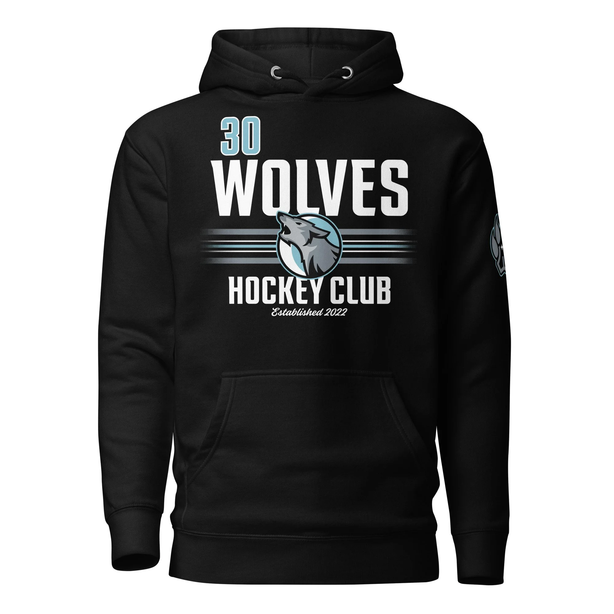 unisex-premium-hoodie-black-front-66e3948c4633d.jpg