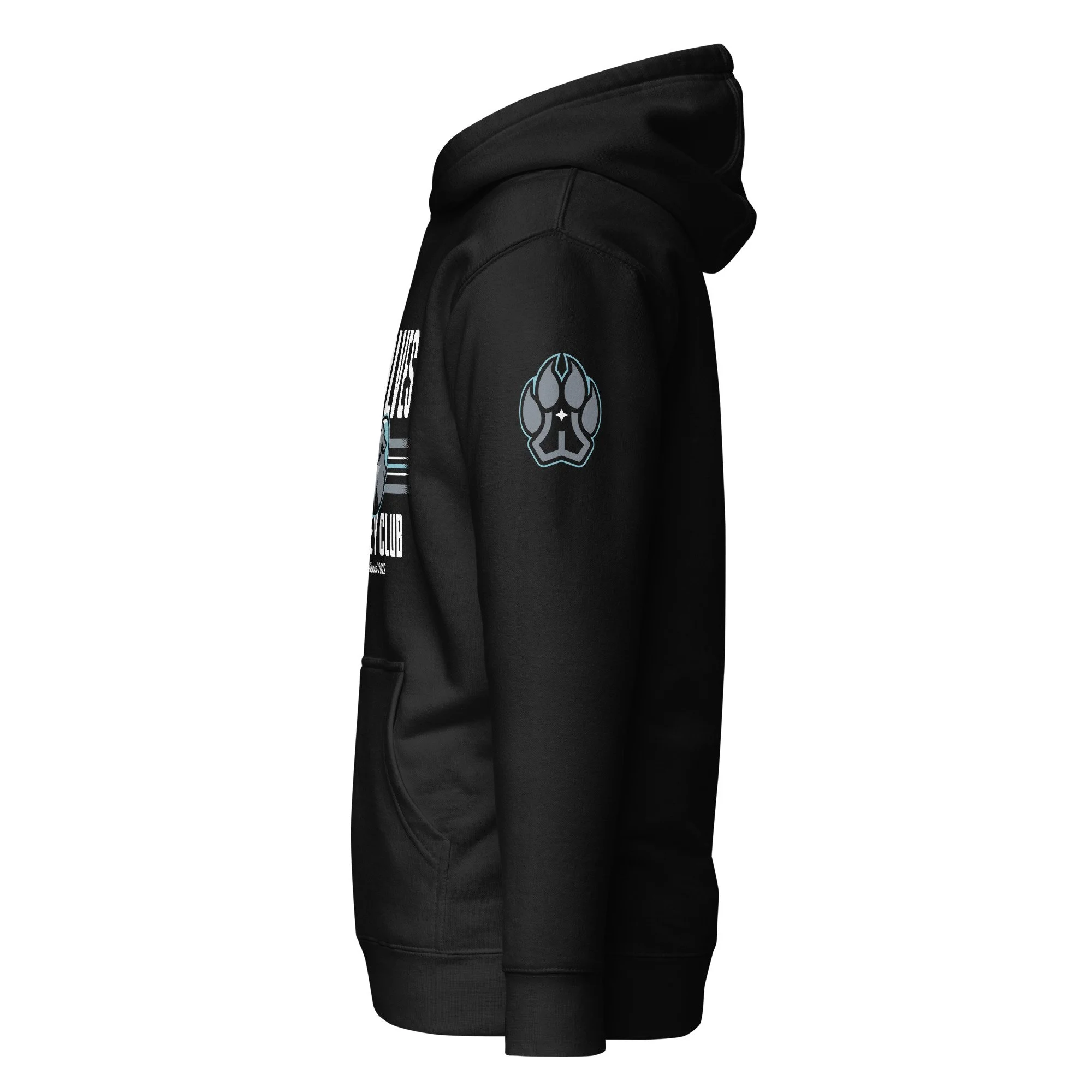 unisex-premium-hoodie-black-left-66e3948c48d1b.jpg