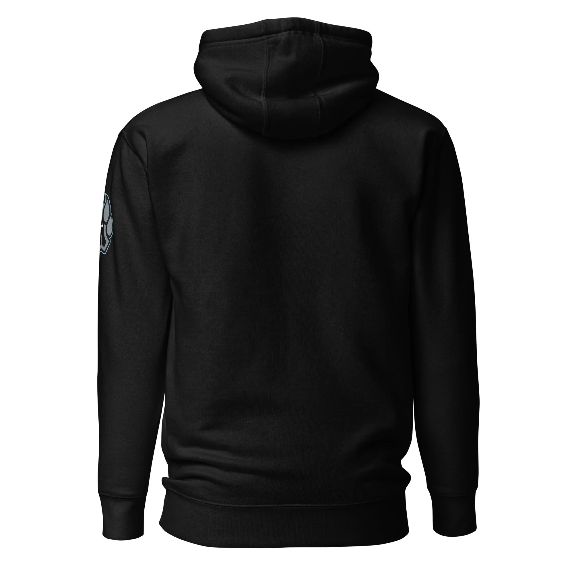 unisex-premium-hoodie-black-back-66e3948c4deb5.jpg
