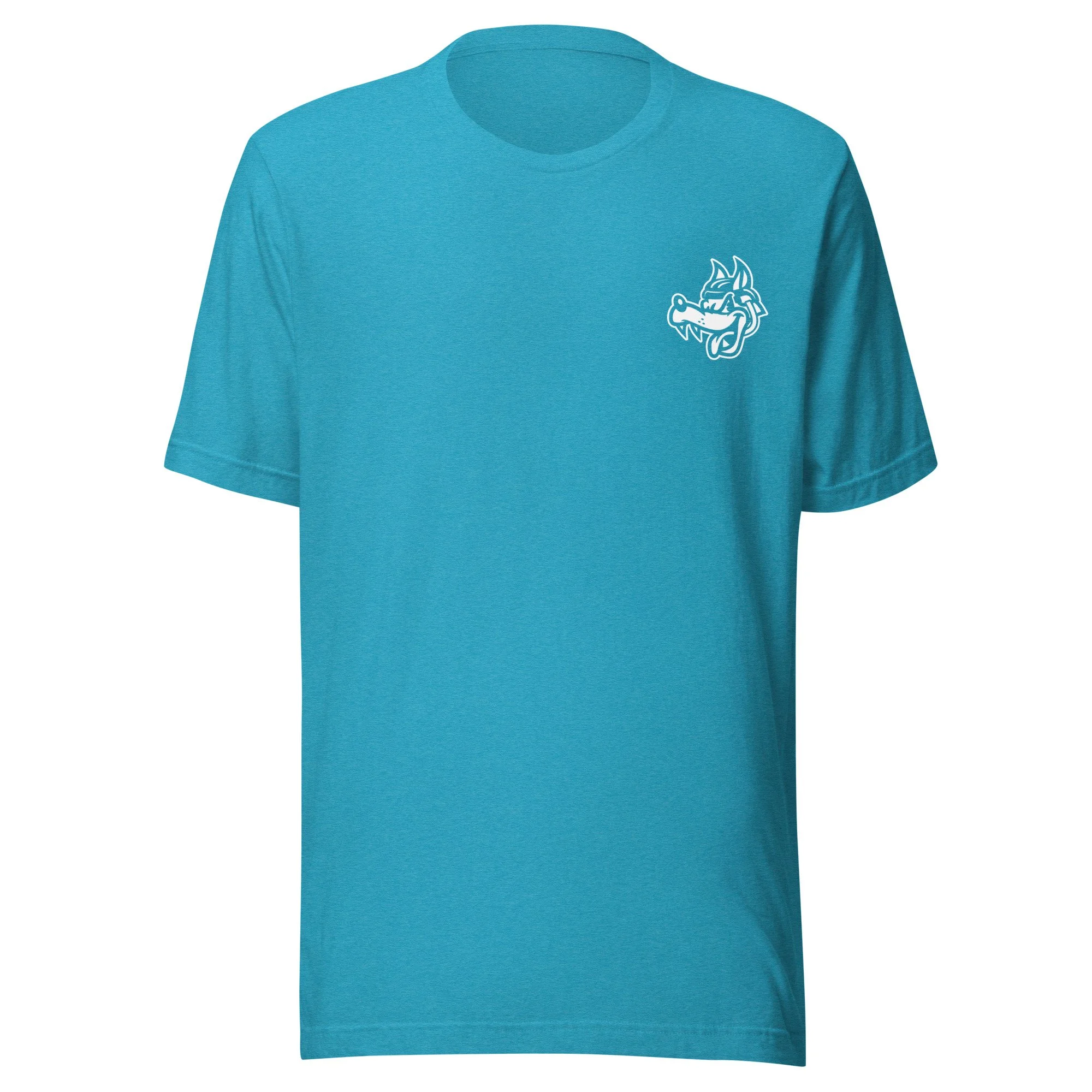 unisex-staple-t-shirt-heather-aqua-front-69653e77960f2.jpg
