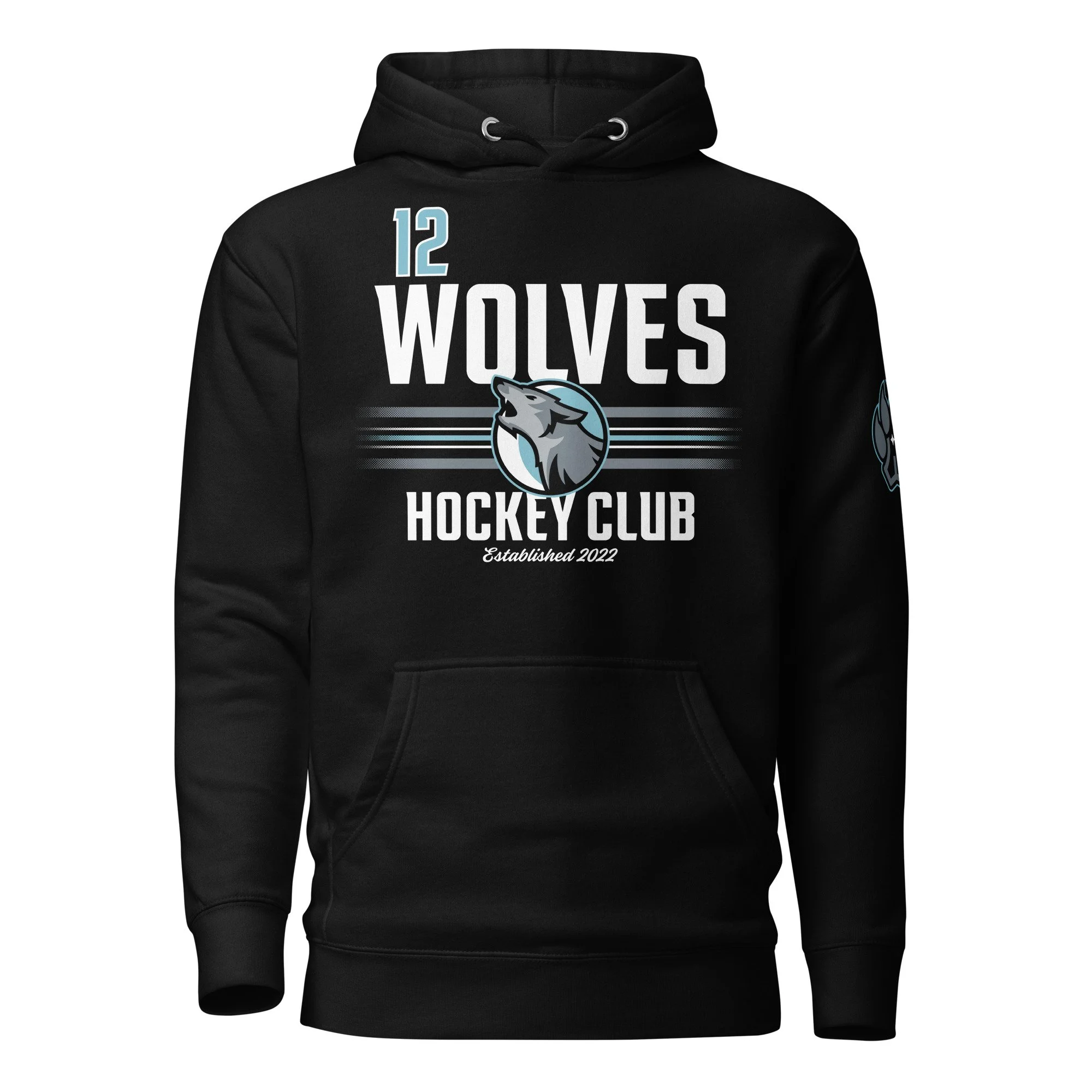 unisex-premium-pullover-hoodie-black-front-69f3f45845b9a.jpg
