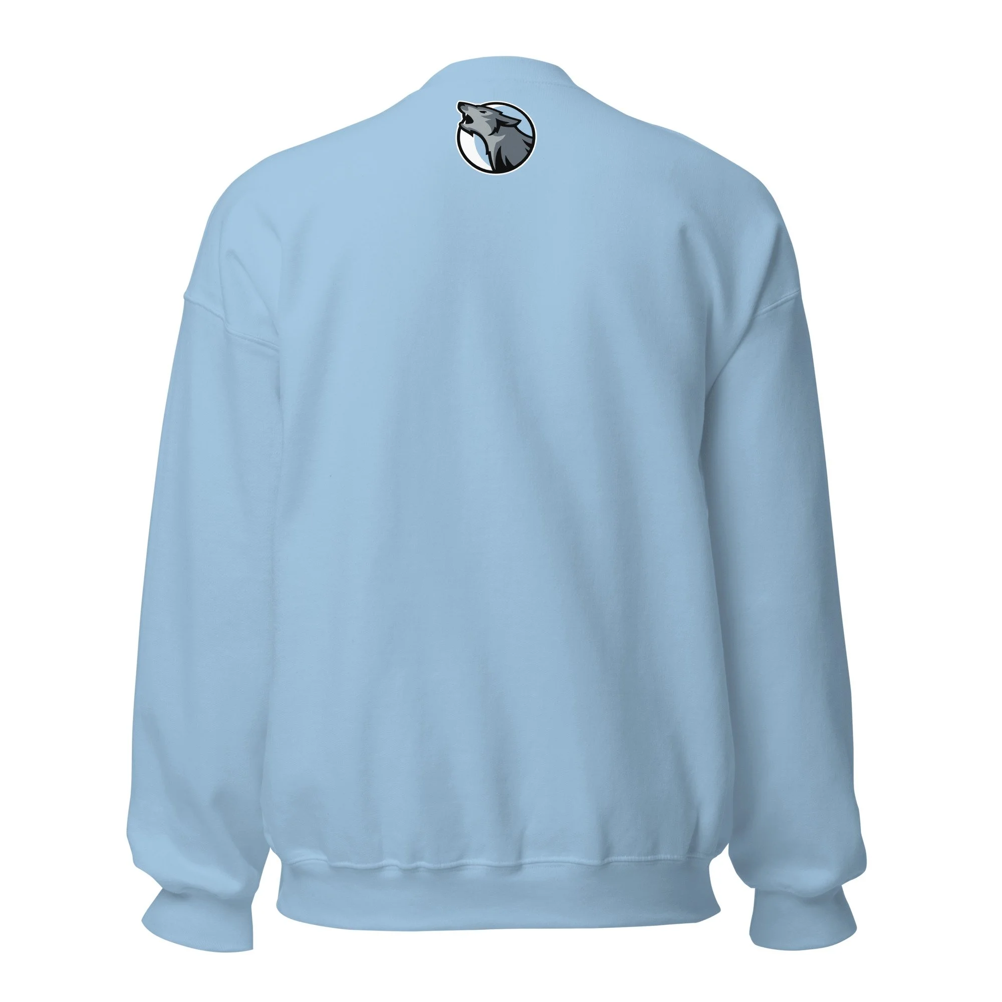unisex-crew-neck-sweatshirt-light-blue-back-6913e8310dfbb.jpg