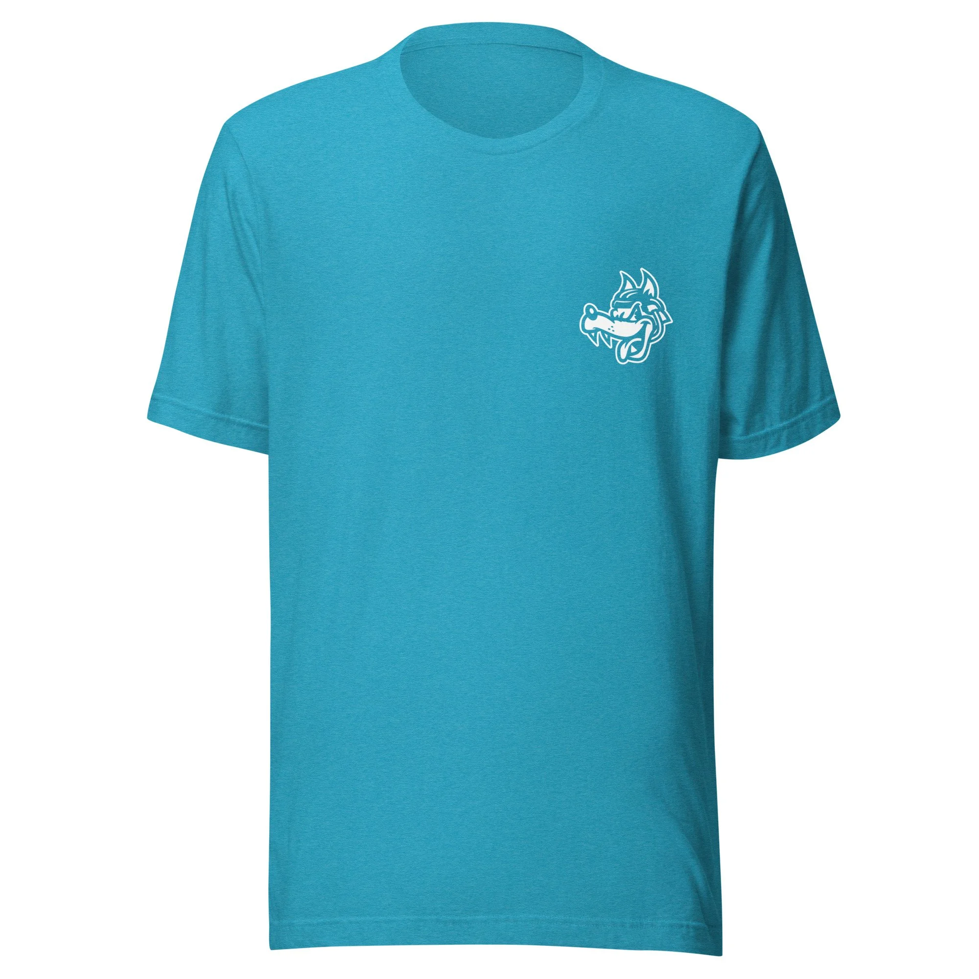 unisex-staple-t-shirt-heather-aqua-front-6a021aa4dfc1a.jpg
