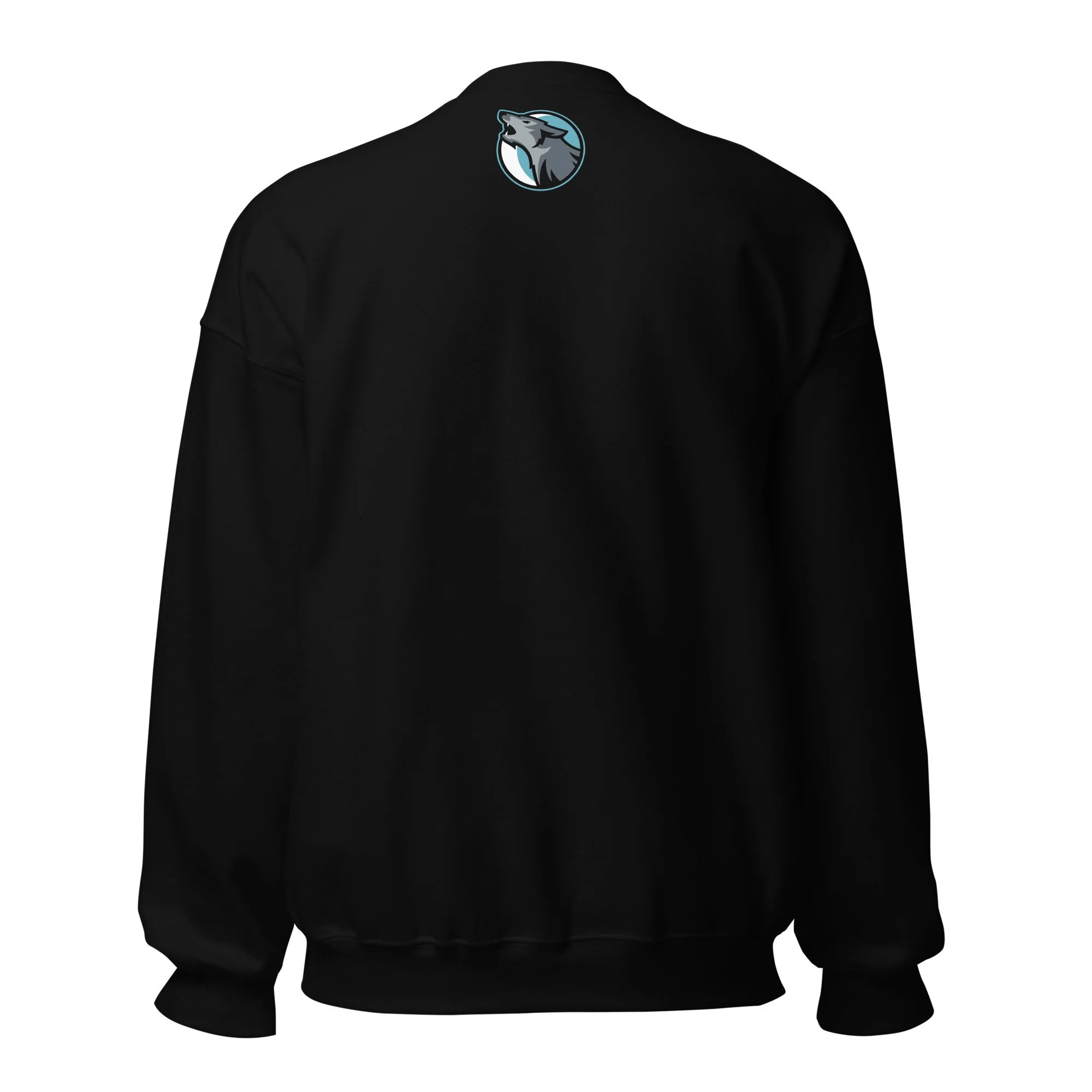 unisex-crew-neck-sweatshirt-black-back-6913e723096e2.jpg