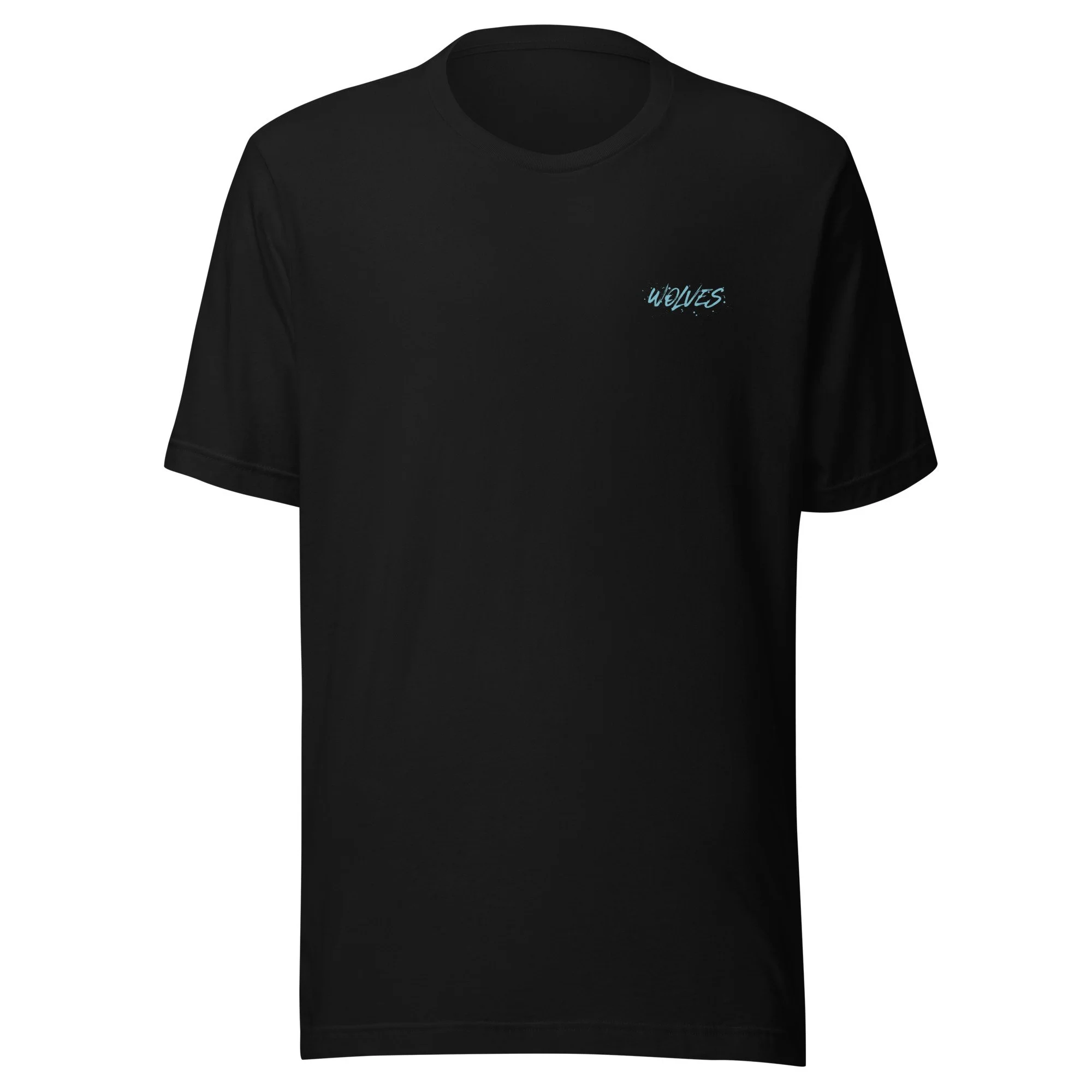 unisex-staple-t-shirt-black-front-6913e245ac167.jpg