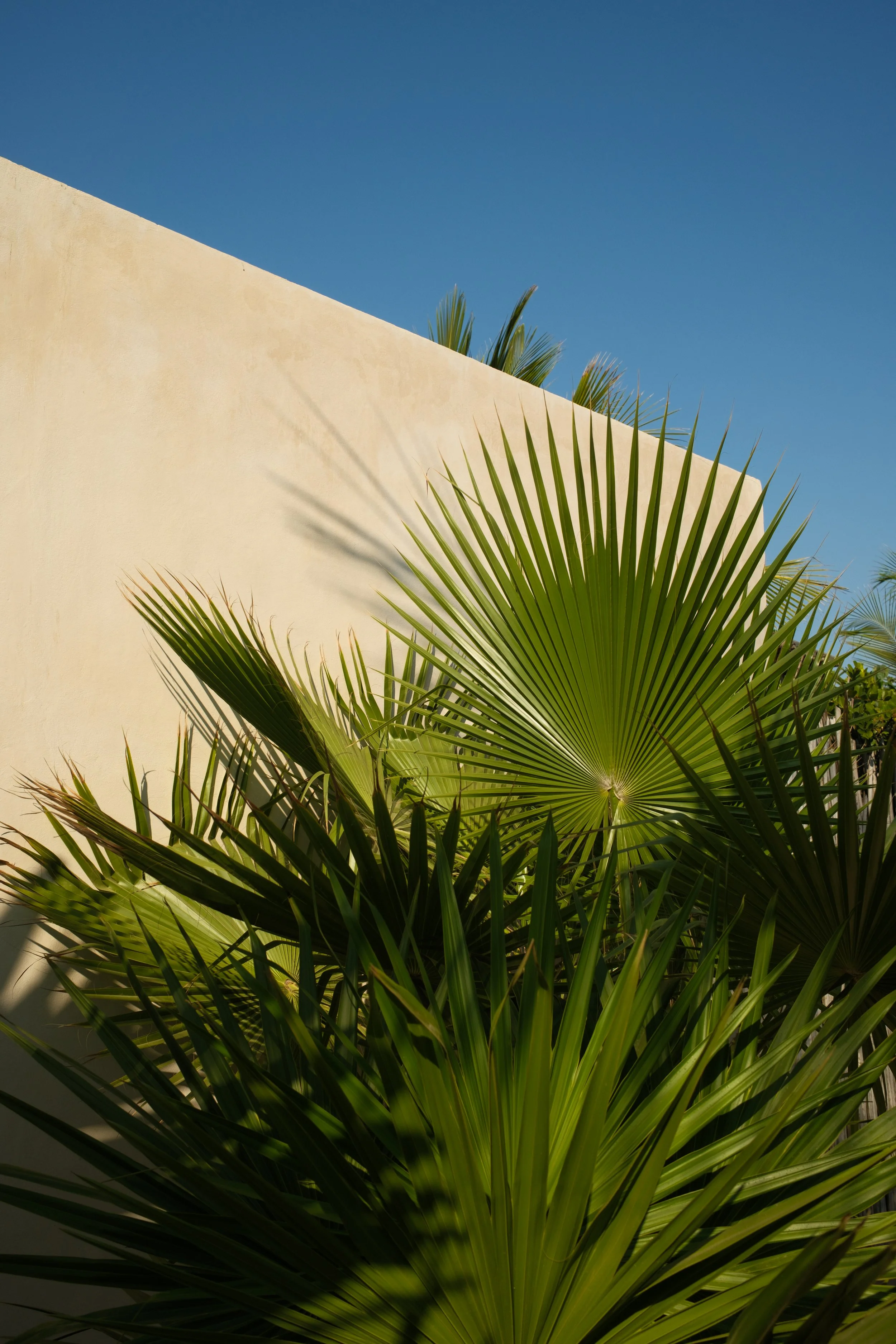 DSCF9150.jpg