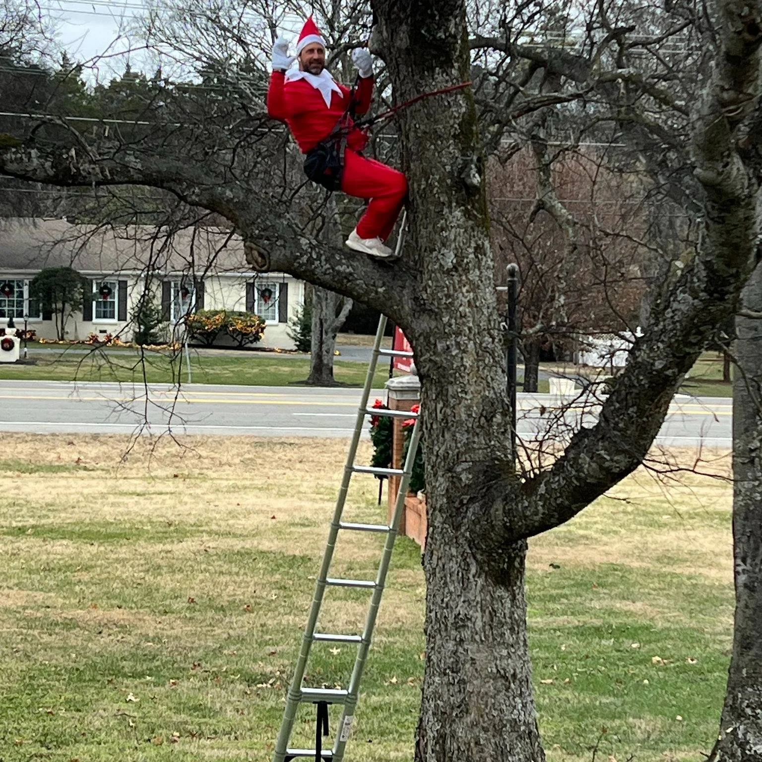 Only 4 days to go until Christmas break and our Tiger Town Elf is clearly on duty spreading holiday cheer! Commuters were doing double-takes as they head off to work with big smiles after spotting him. These tiny moments of joy are what make our Elf'