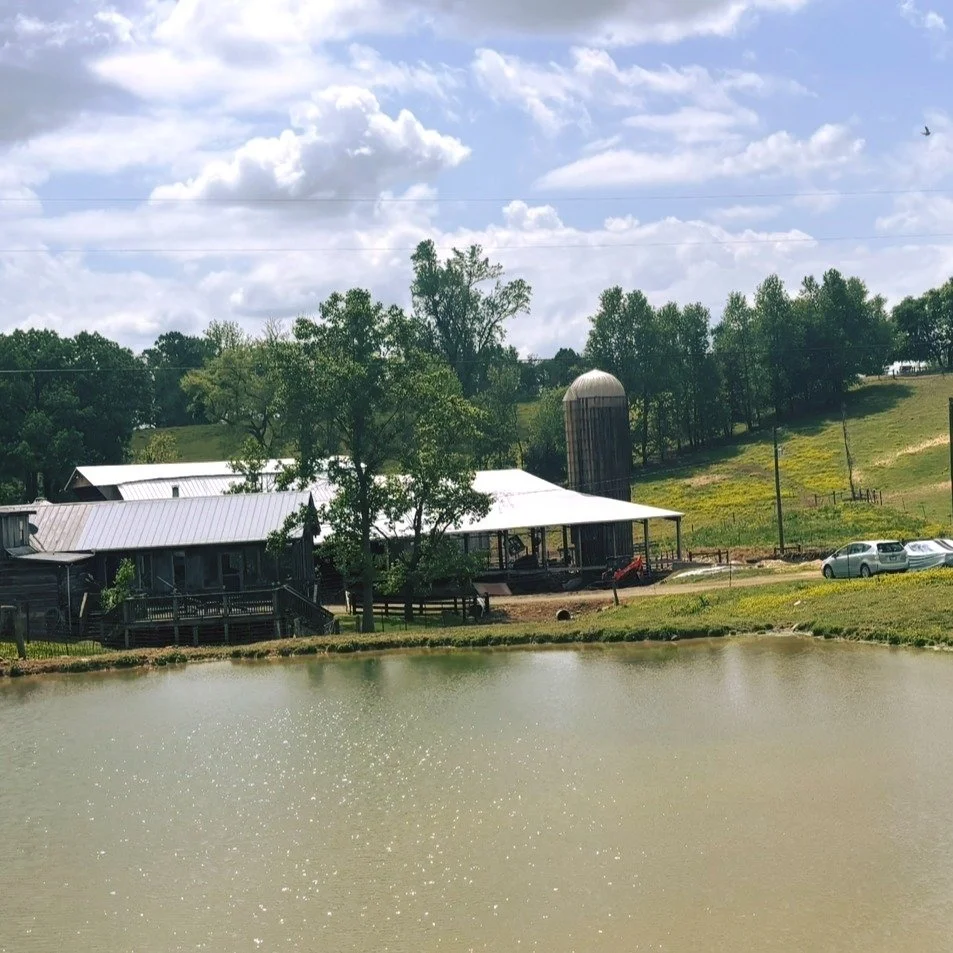 FIELDTRIP FUN - Our 1st grade had a fantastic time visiting the Hatcher Family Dairy Farm! Students were eager to learn how milk makes its journey from the cow to the grocery store. They toured the barn, met the cows, and discovered how farmers care 