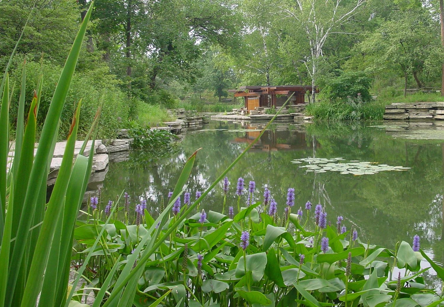 Restored Alfred Caldwell Lily Pool in Lincoln Park, 2010.