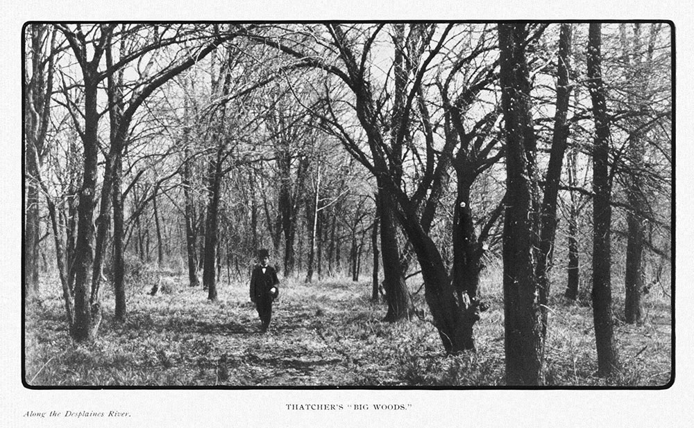 “Thatcher Woods,” from The 1904 Report of the Special Park Commission to the City Council of Chicago on the Subject of A Metropolitan Park System, by Dwight H. Perkins and Jens Jensen.