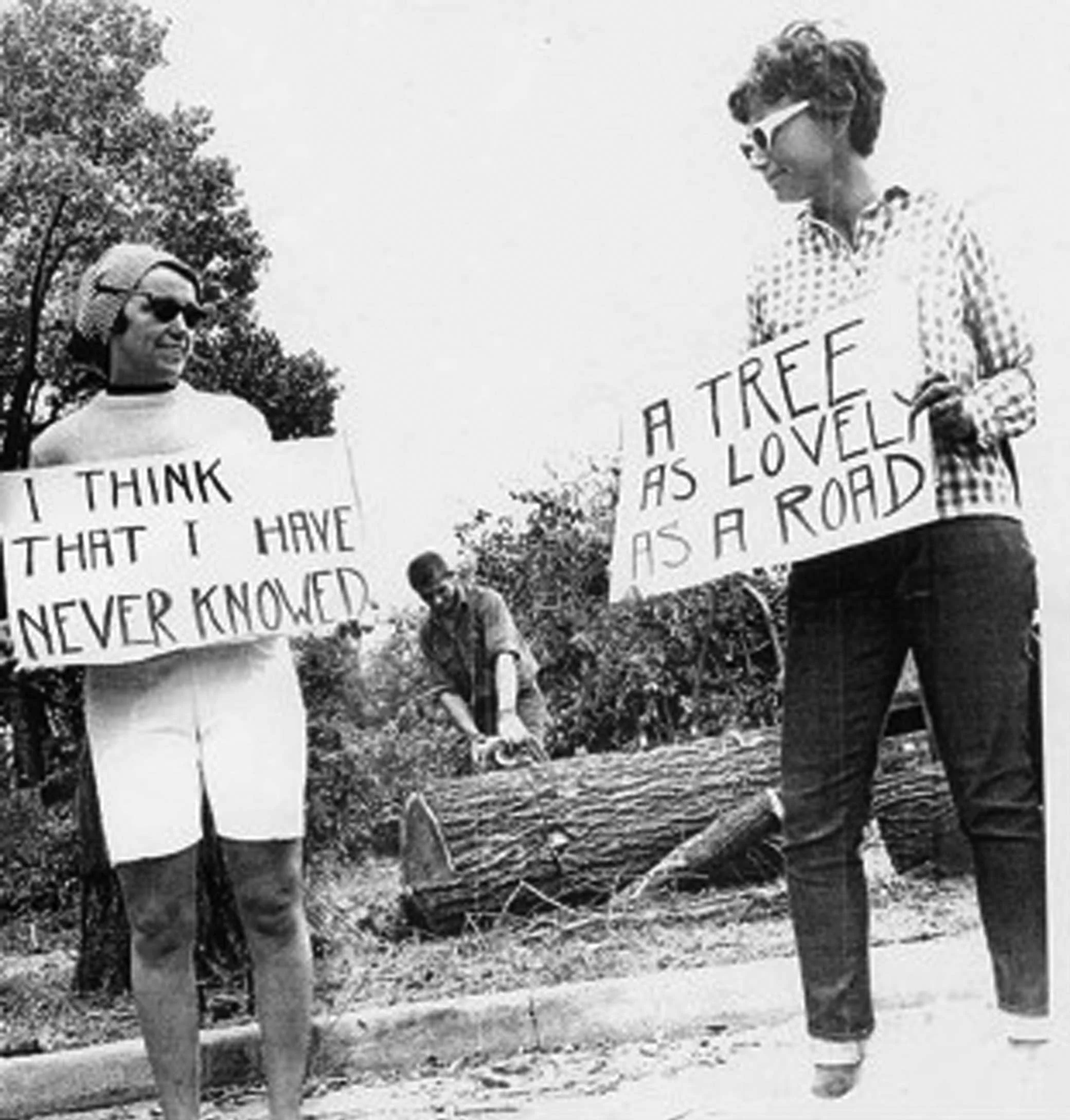 Kay Clement (on left) with unidentified demonstrator protesting the tree removal in Jackson Park, Jack Dykinga photographer, courtesy Sun-Times Media, 1965.