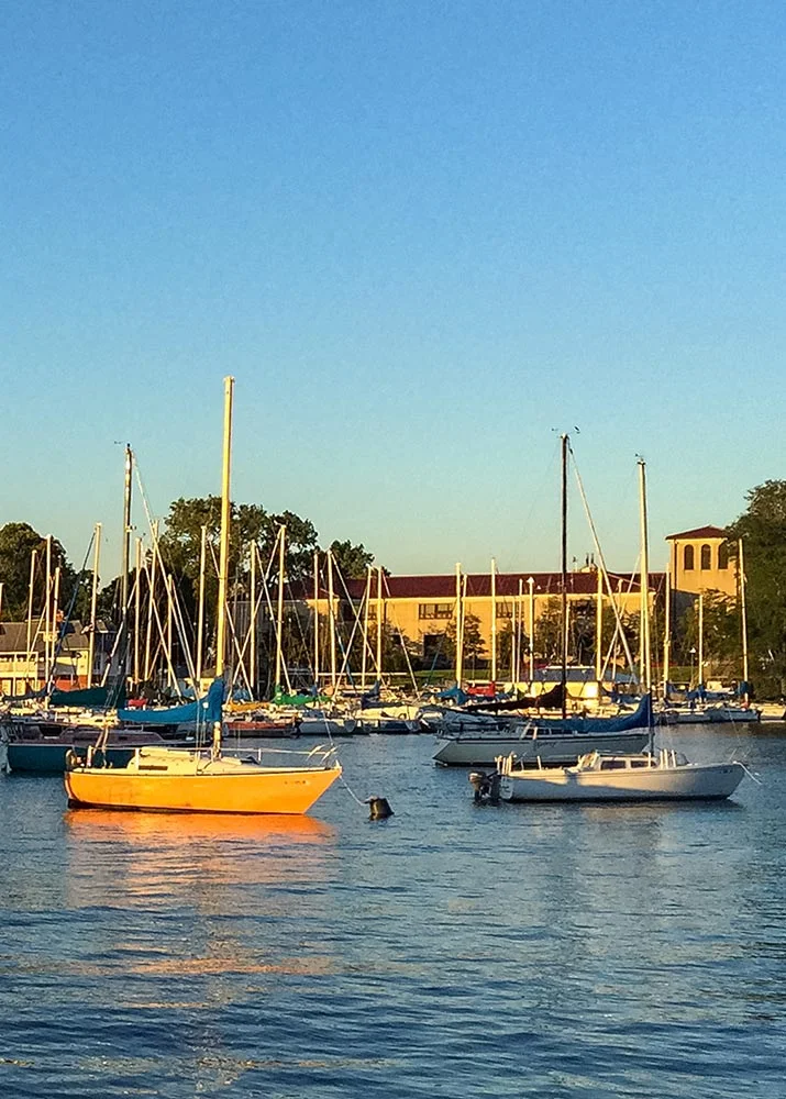 View of Outer Harbor looking towards Jackson Park Yacht Club. Photo by Eric Allix Rogers.