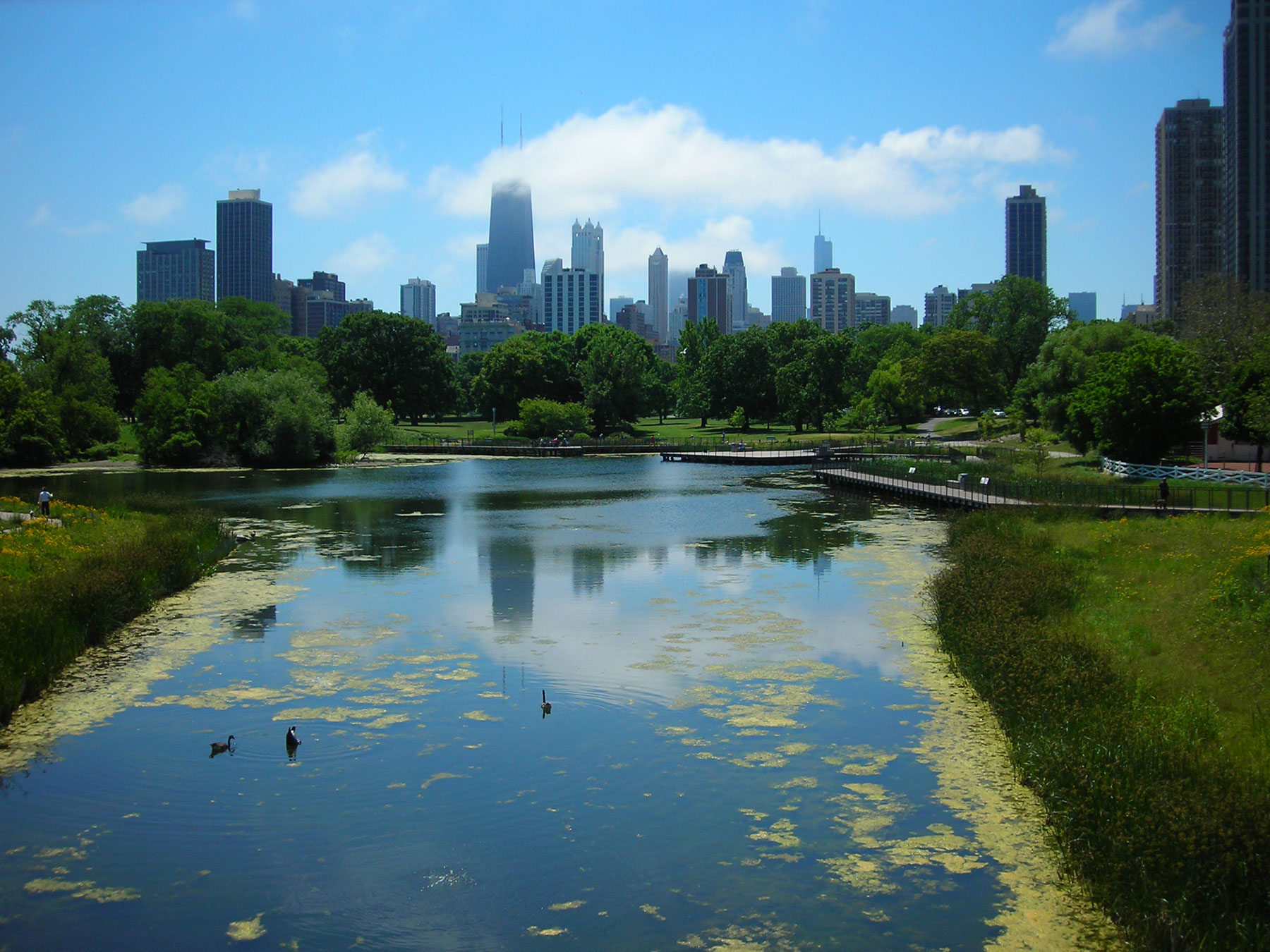 Lincoln Park: A Legacy on the Lakefront — Julia Bachrach Consulting