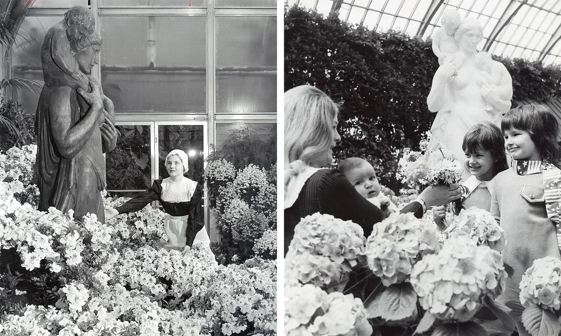 These photographs show Charitas in its second and third locations, in Lincoln Park in 1953 (L) and the Garfield Park Conservatory in the 1970s (R). Chicago Public Library Special Collections, Chicago Park District Archives, Photos.