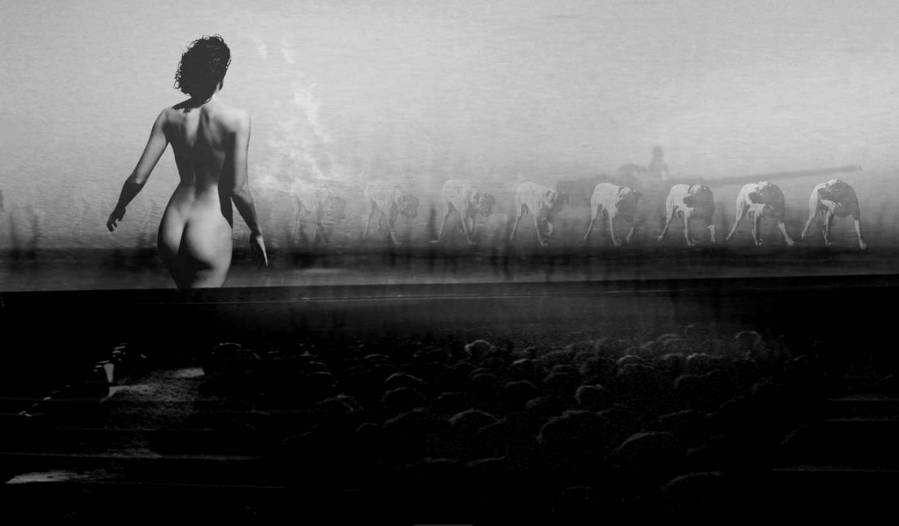 Preston Buchtel, "Resistance," 2012