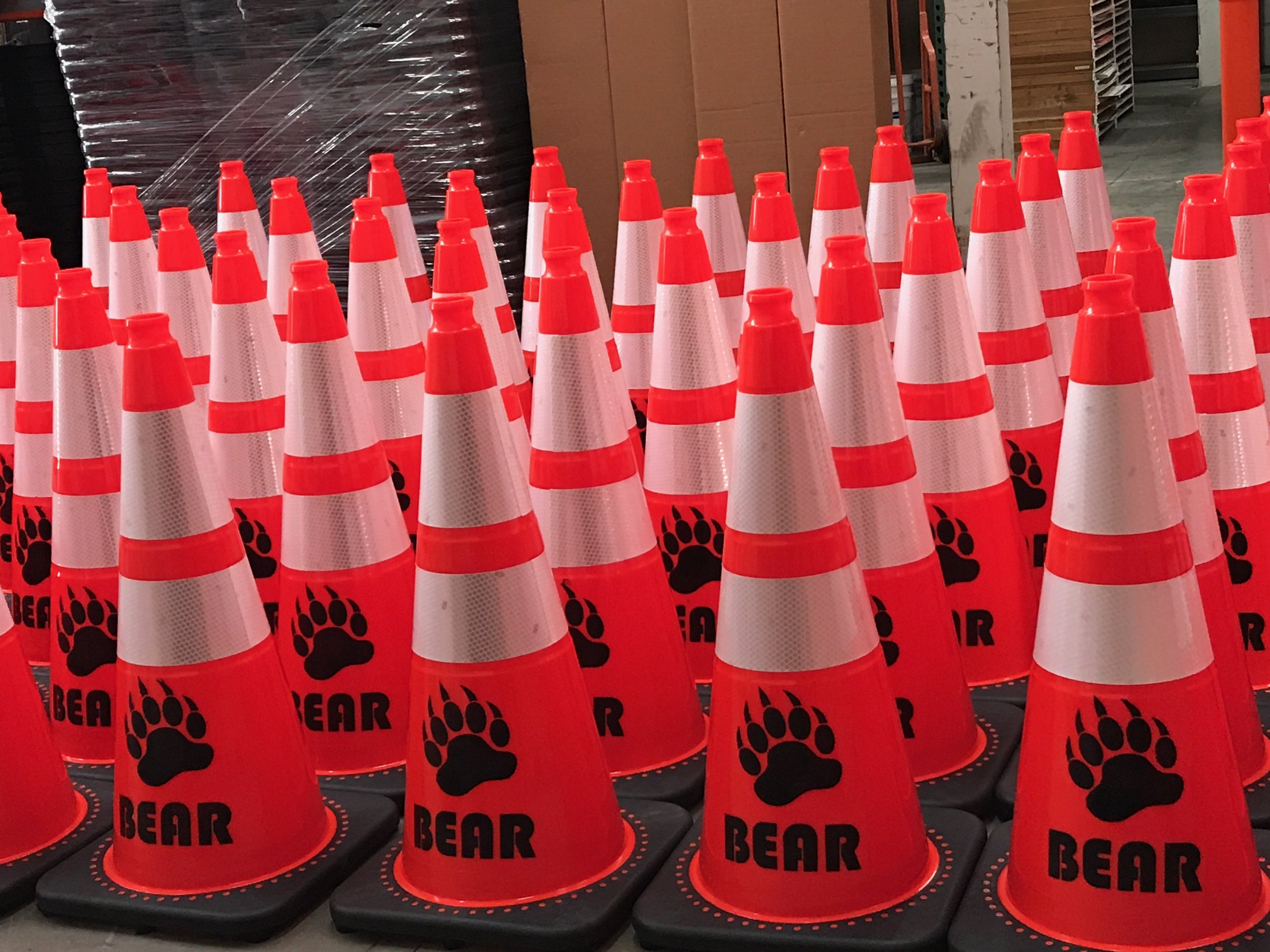 Bear Cones.jpeg