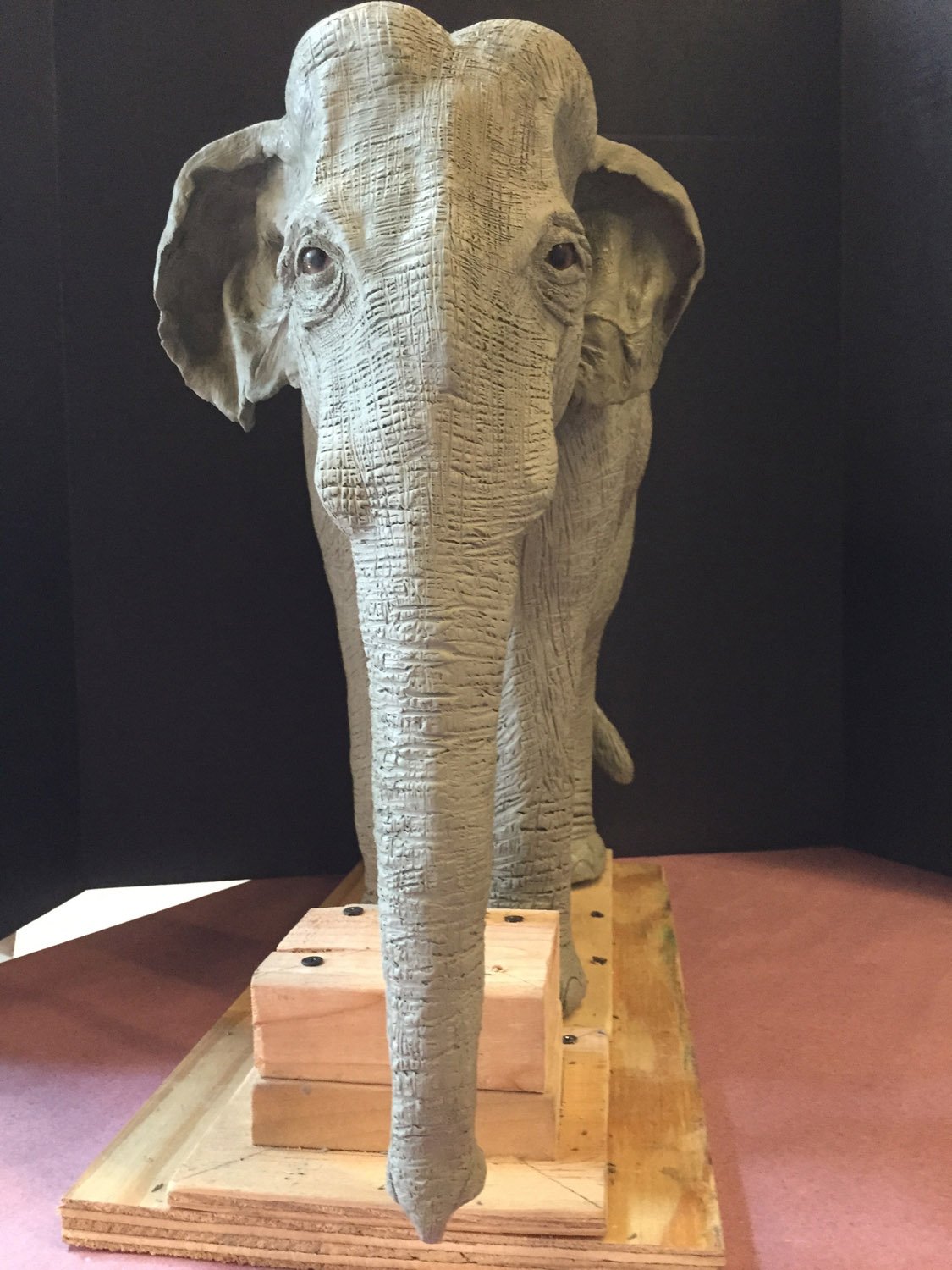 CIRCUS ELEPHANT