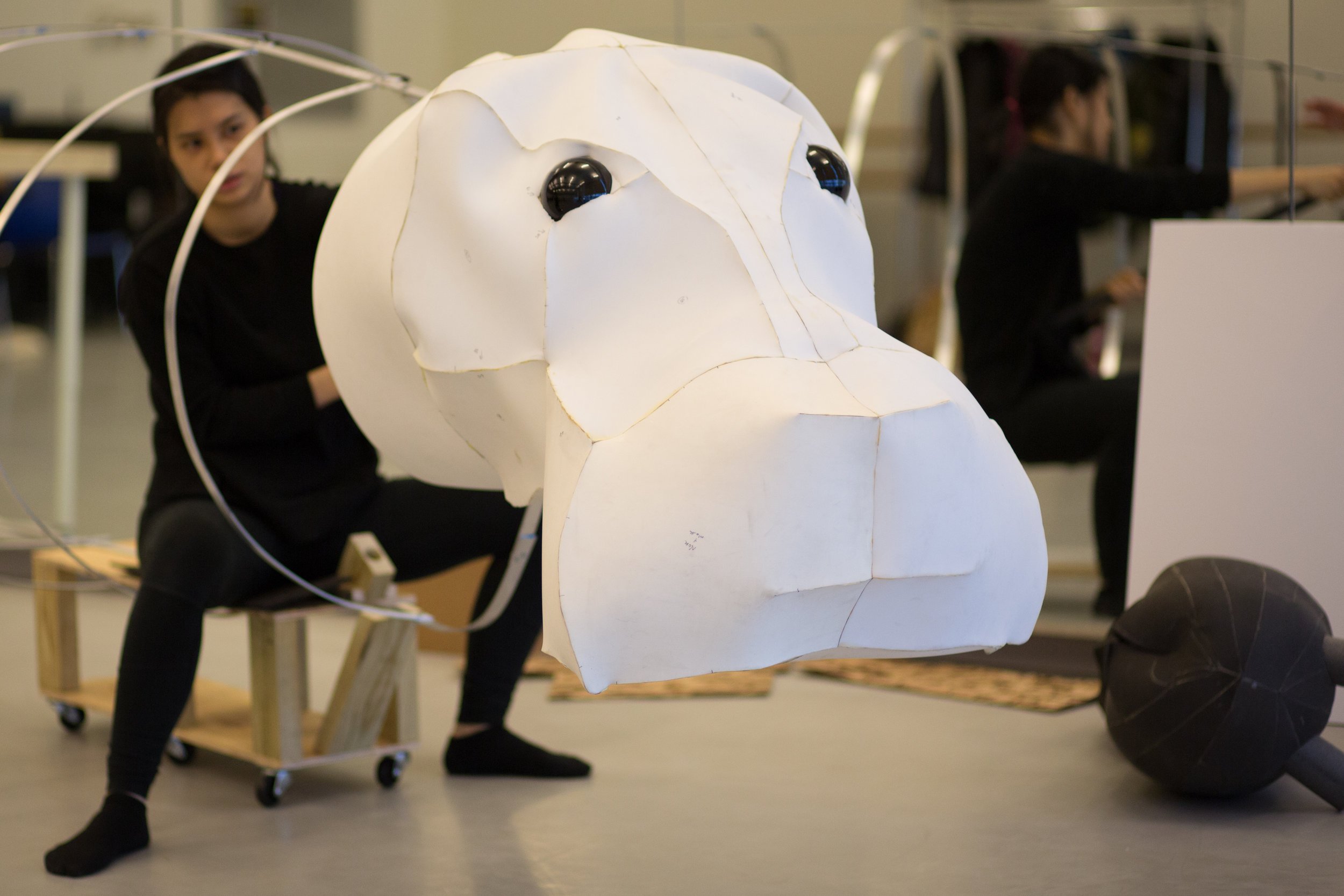 WILLIAM JOHNSON HIPPOPOTAMUS XIII