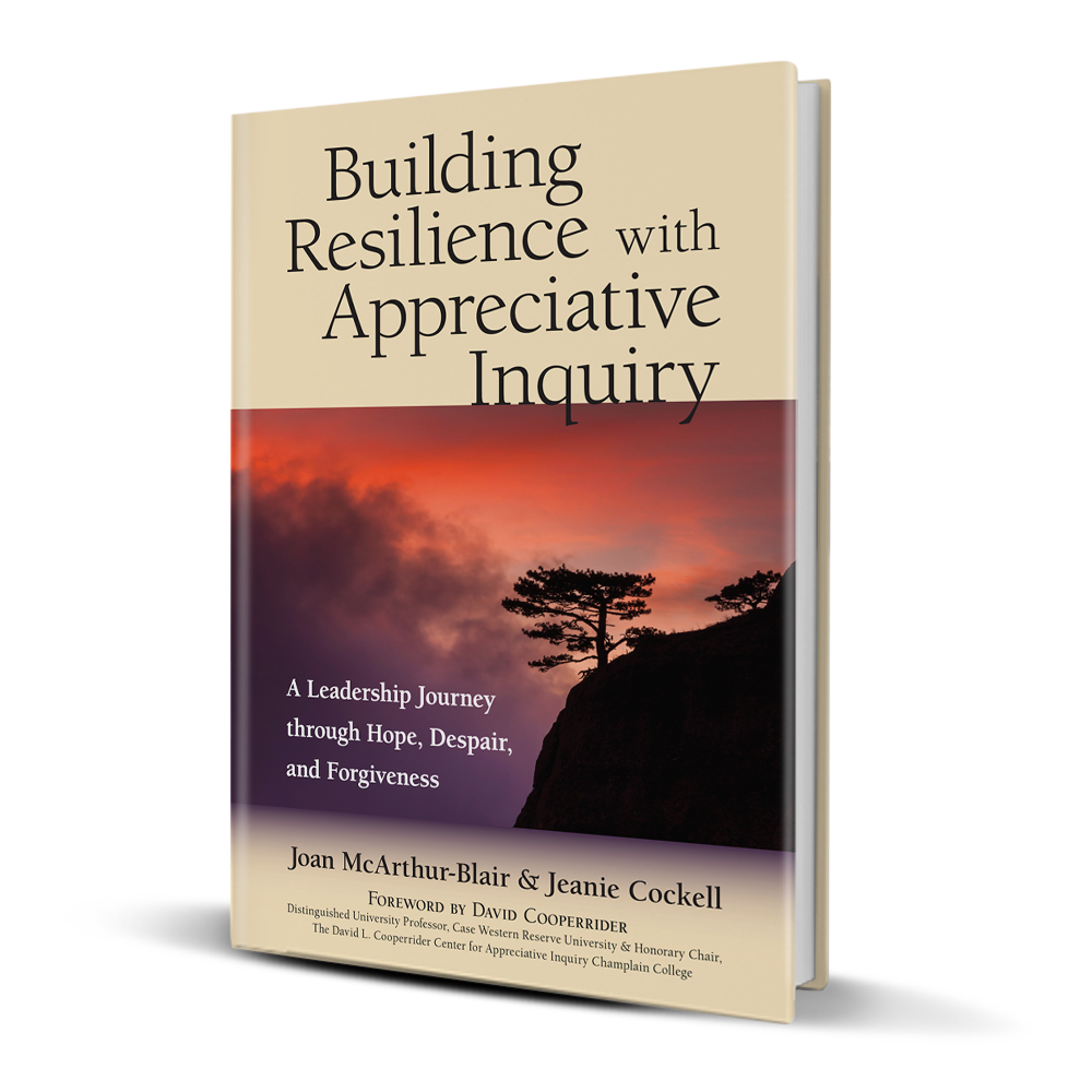 BuildingResilience_3d.png