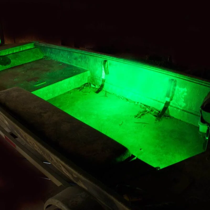 Kick Lights XL 2.jpg