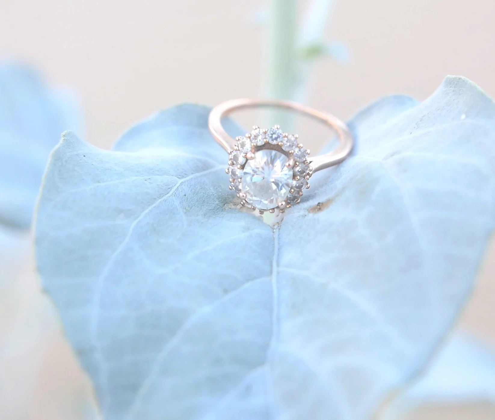 Please stop asking me when my boyfriend will propose