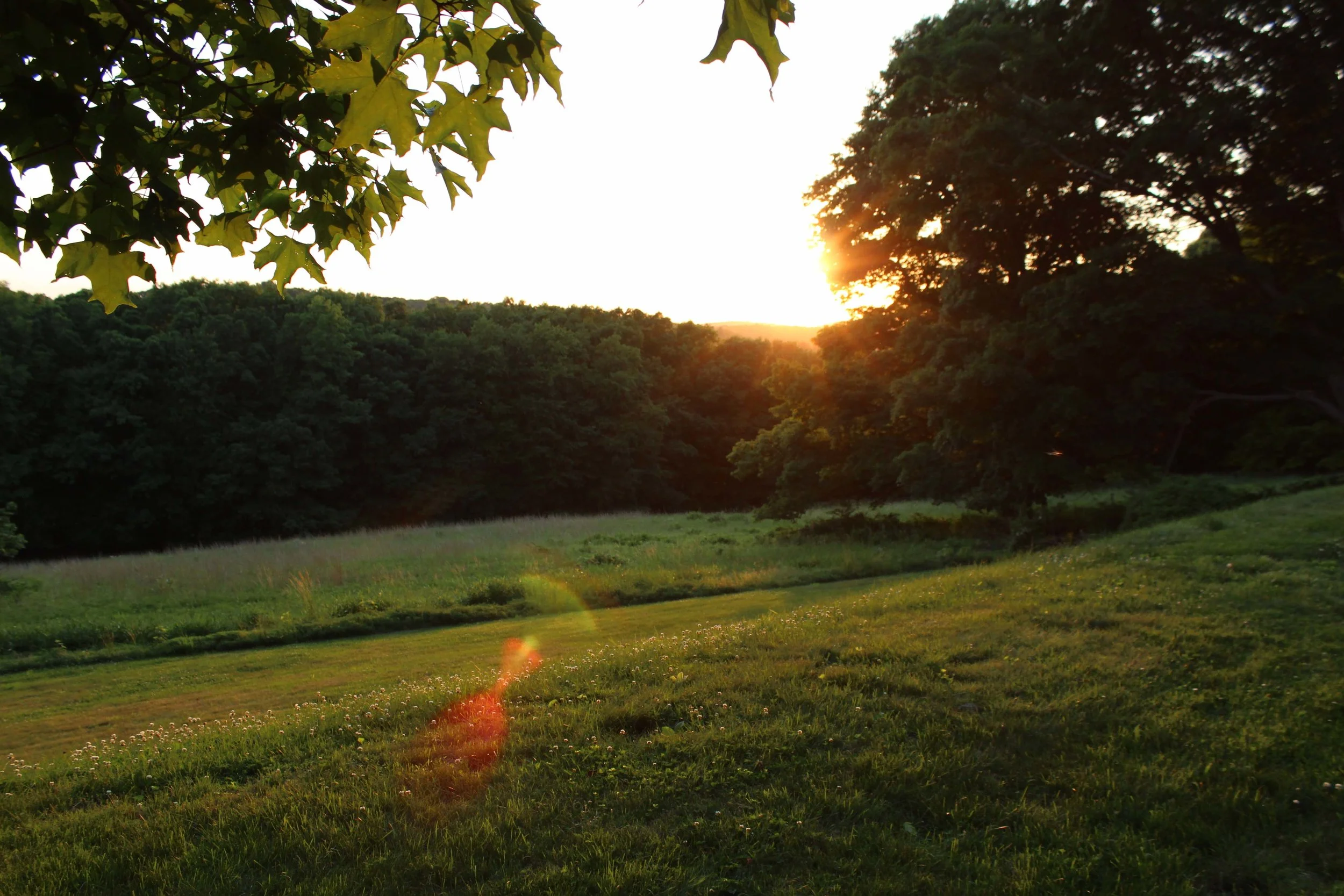 The extensive grounds at Merestead provide a wonderful environment for music making.