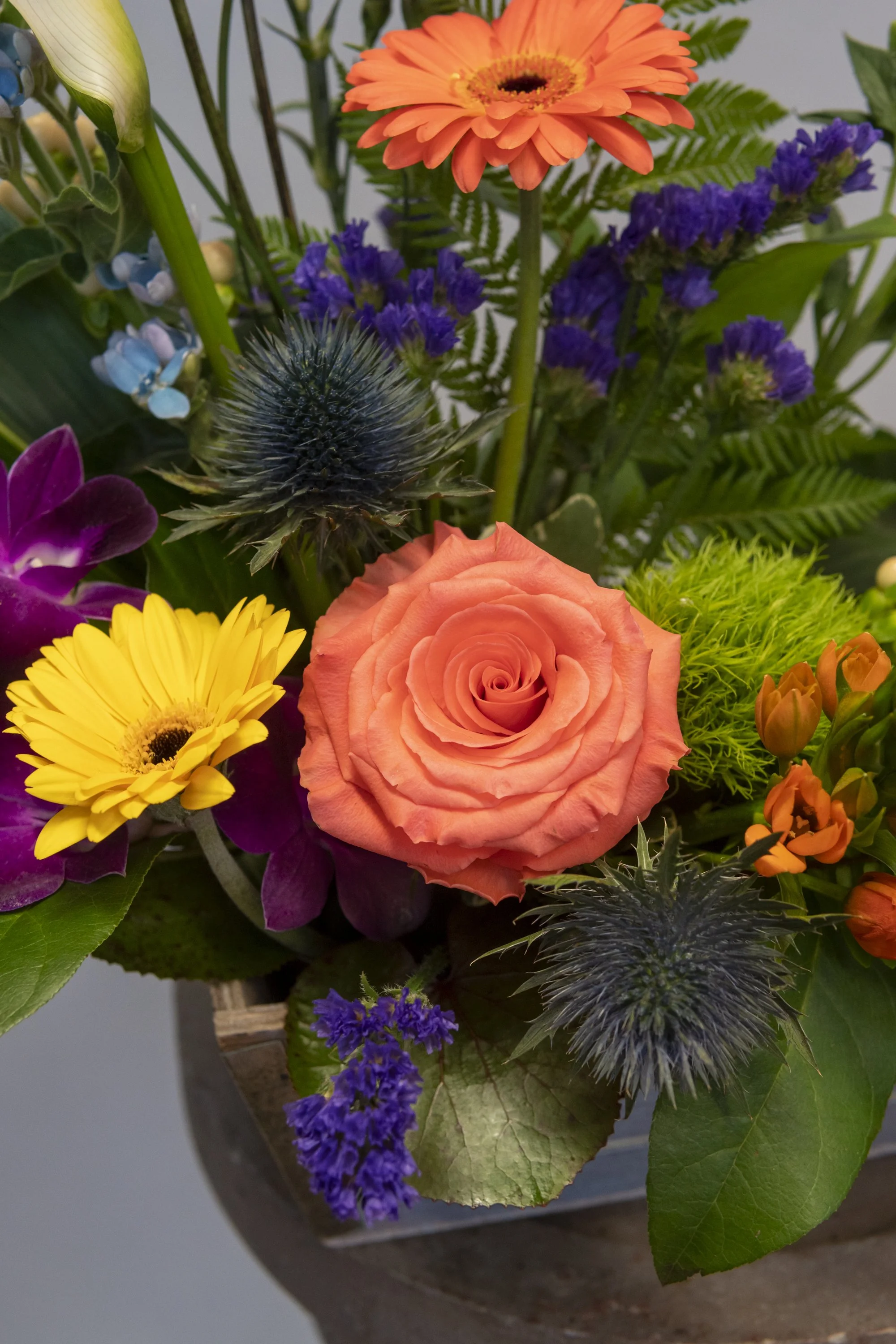 Plants — Flowers, Etcetera by Denise