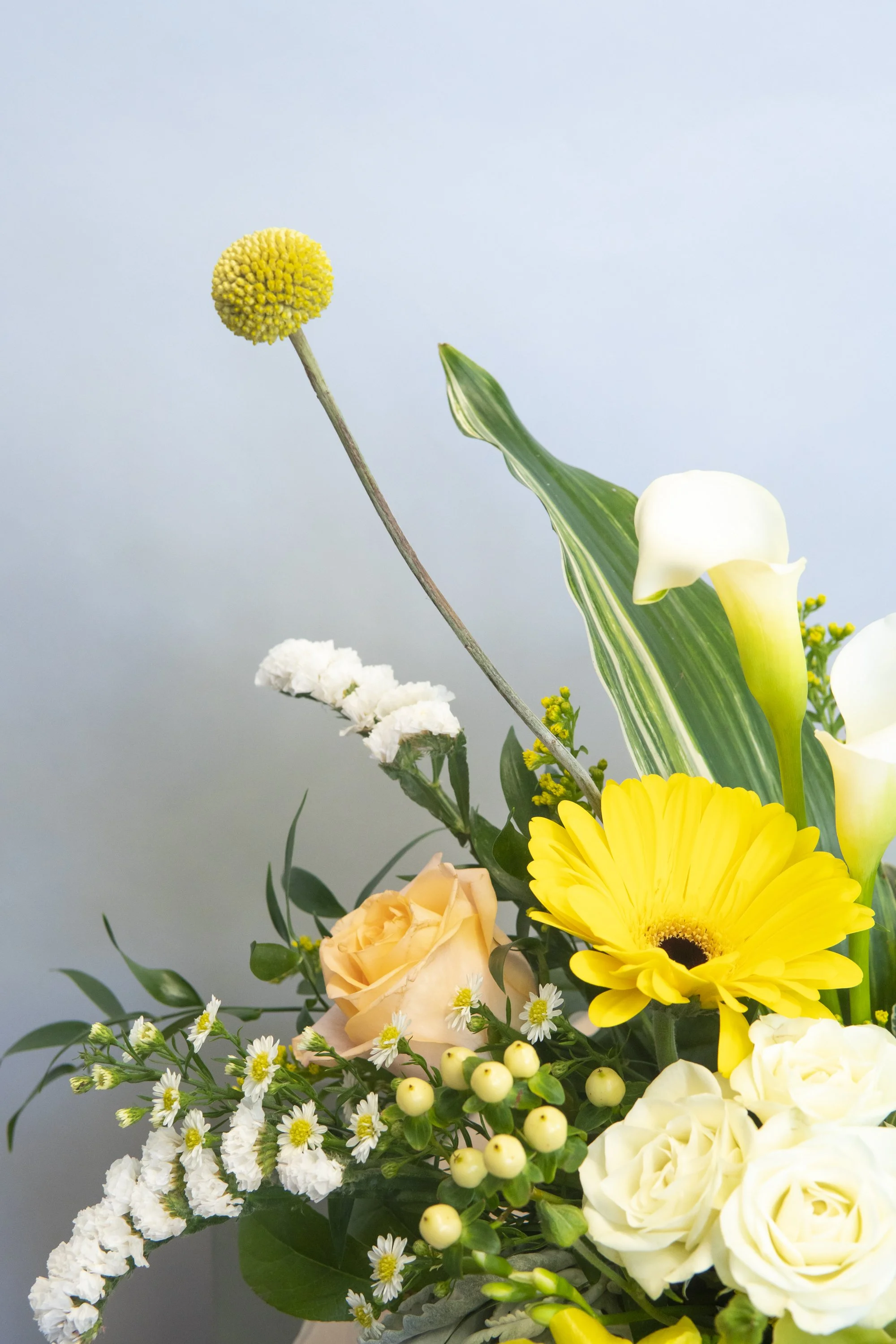skylerburkhart-04.30.22-36.jpg
